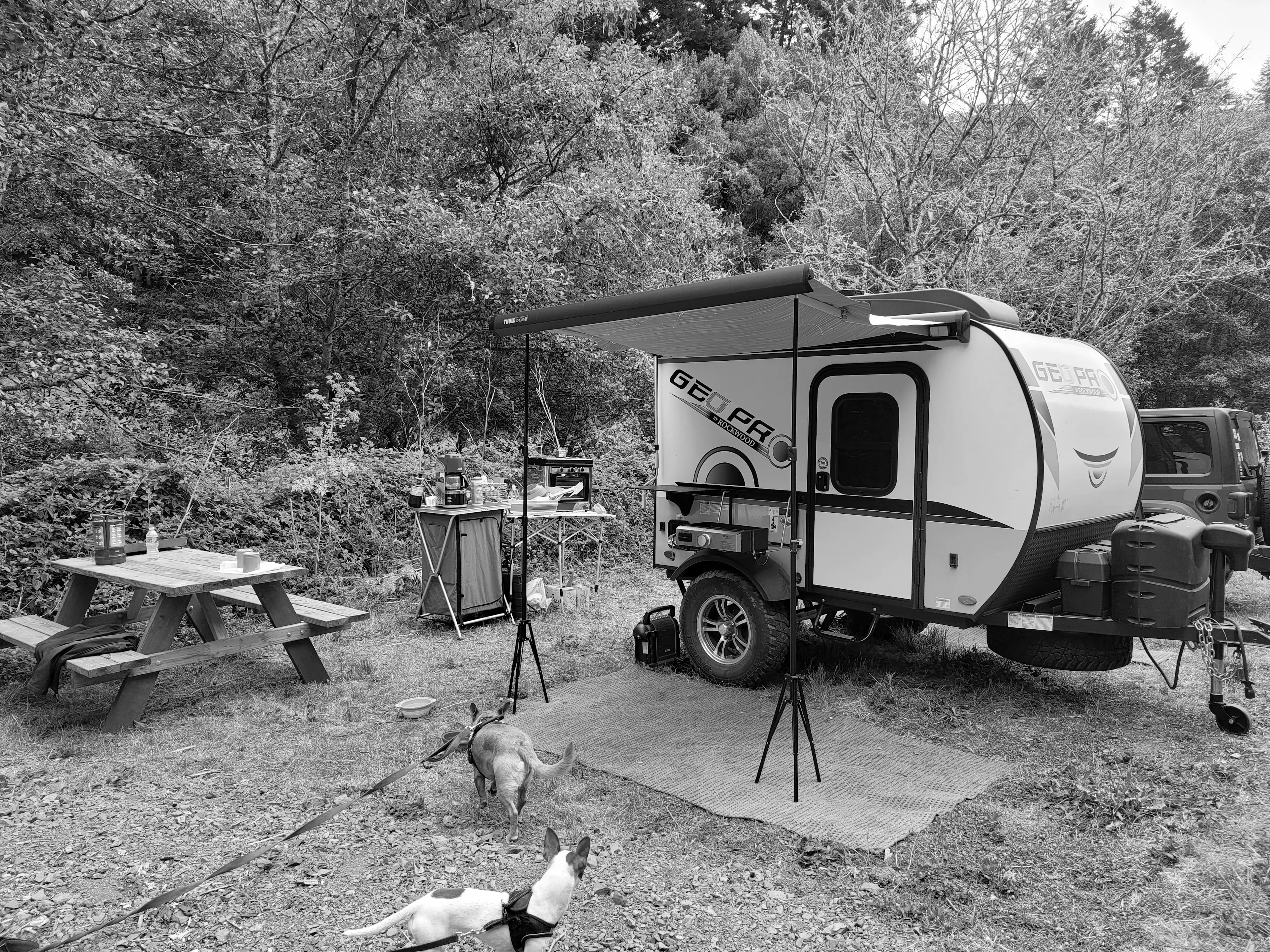 Best Anchor Bay Campgrounds