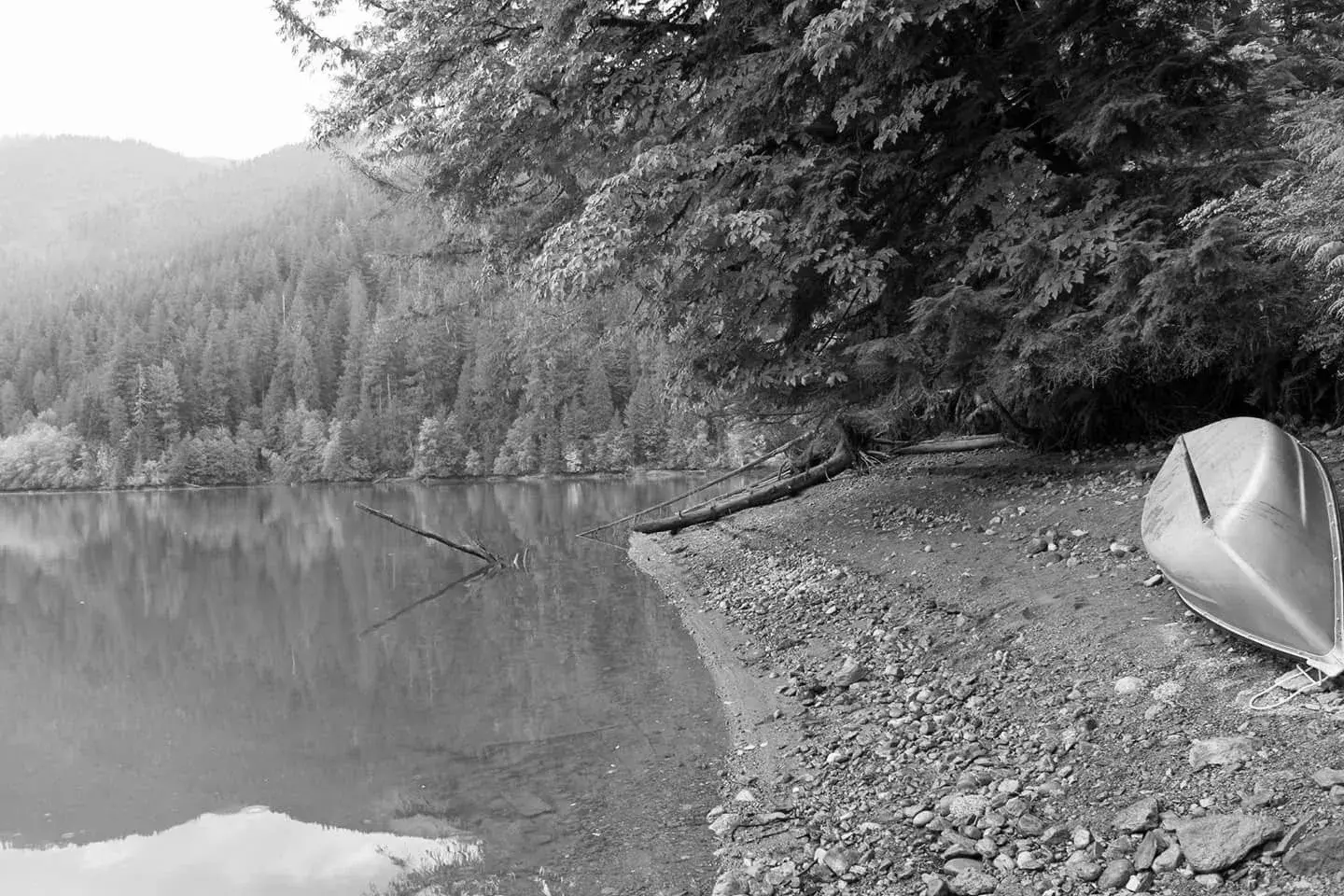 Best Anderson Campgrounds