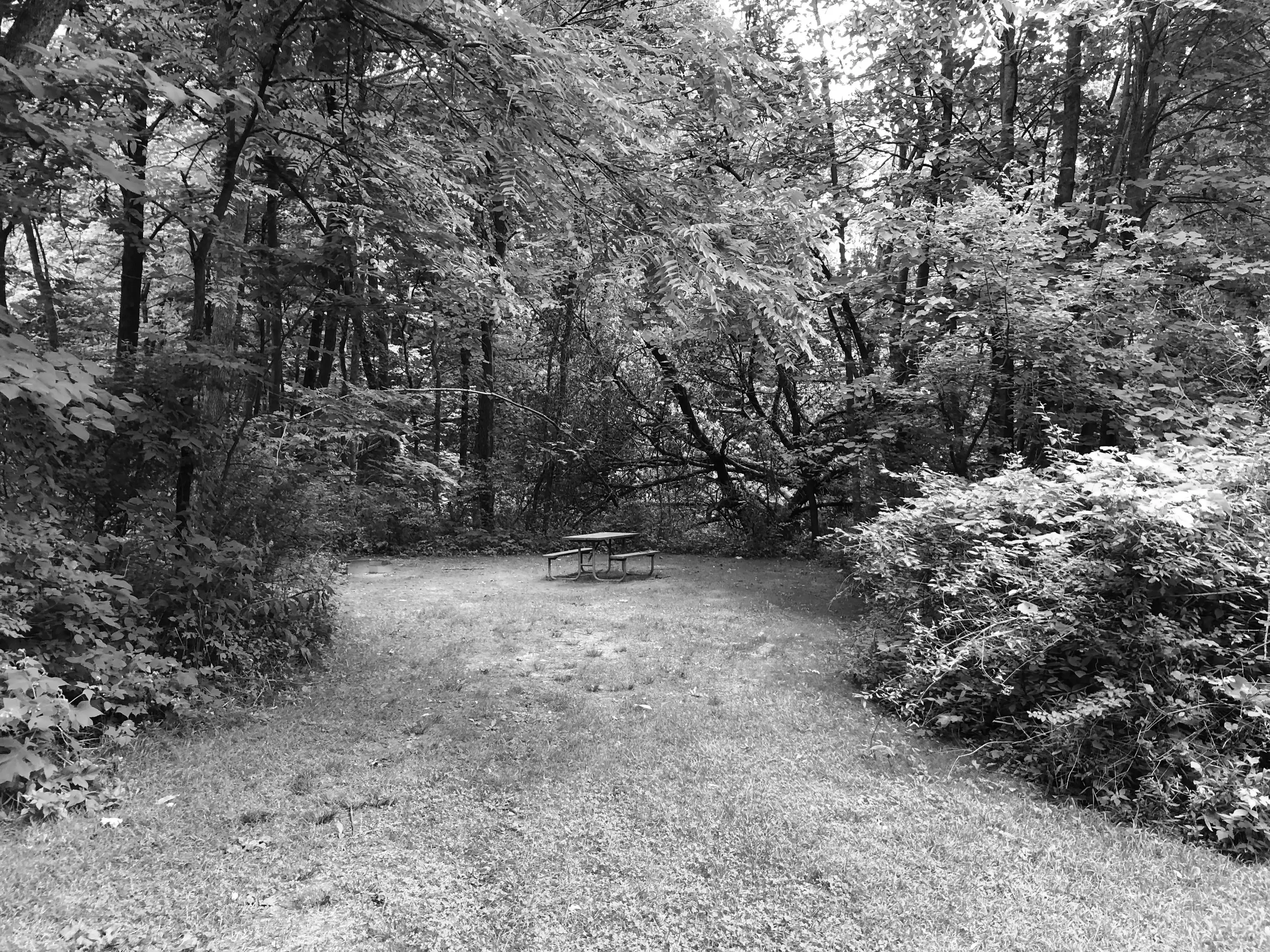 Best Apple Canyon Lake Campgrounds