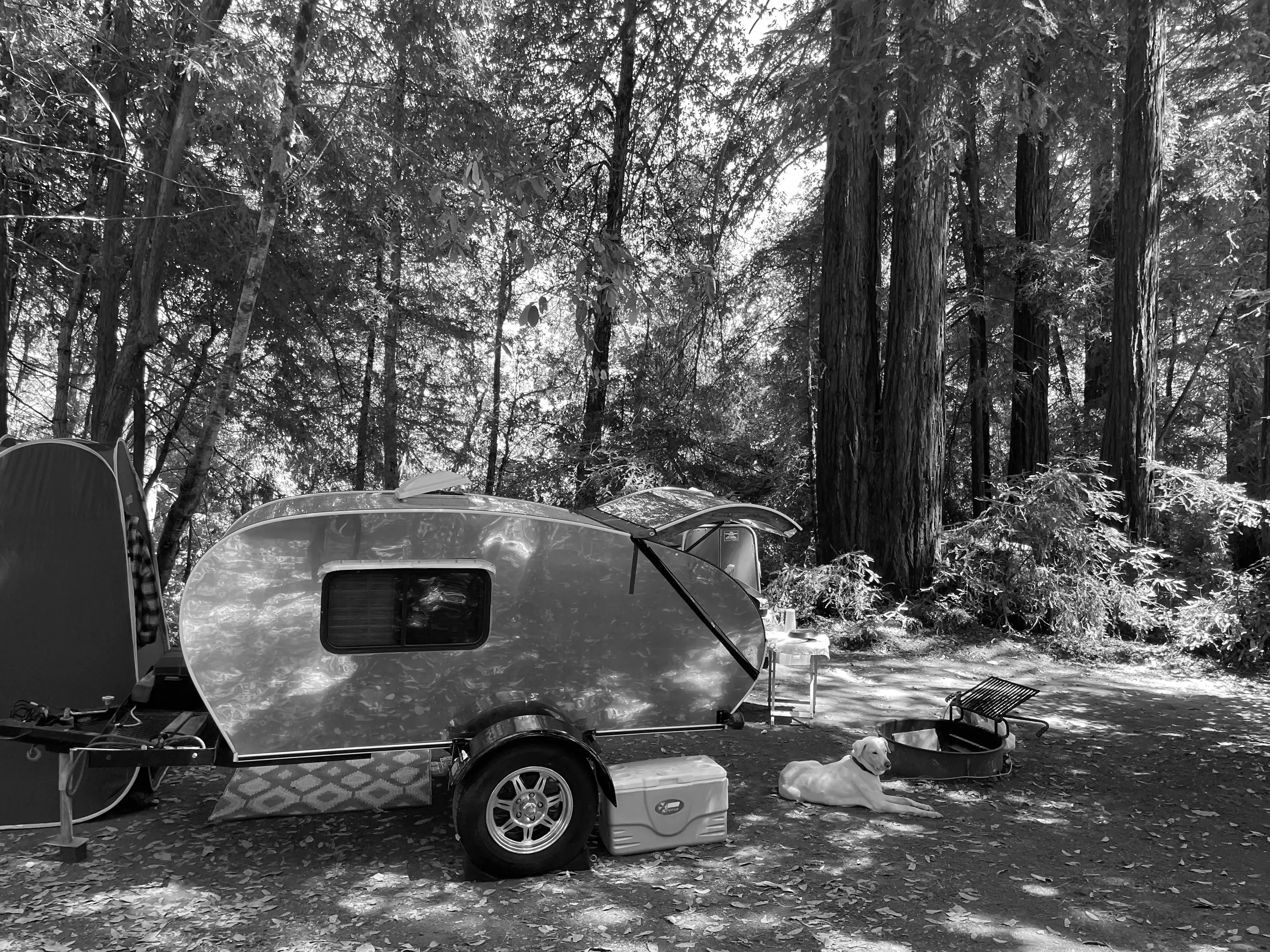 Best Aptos Campgrounds