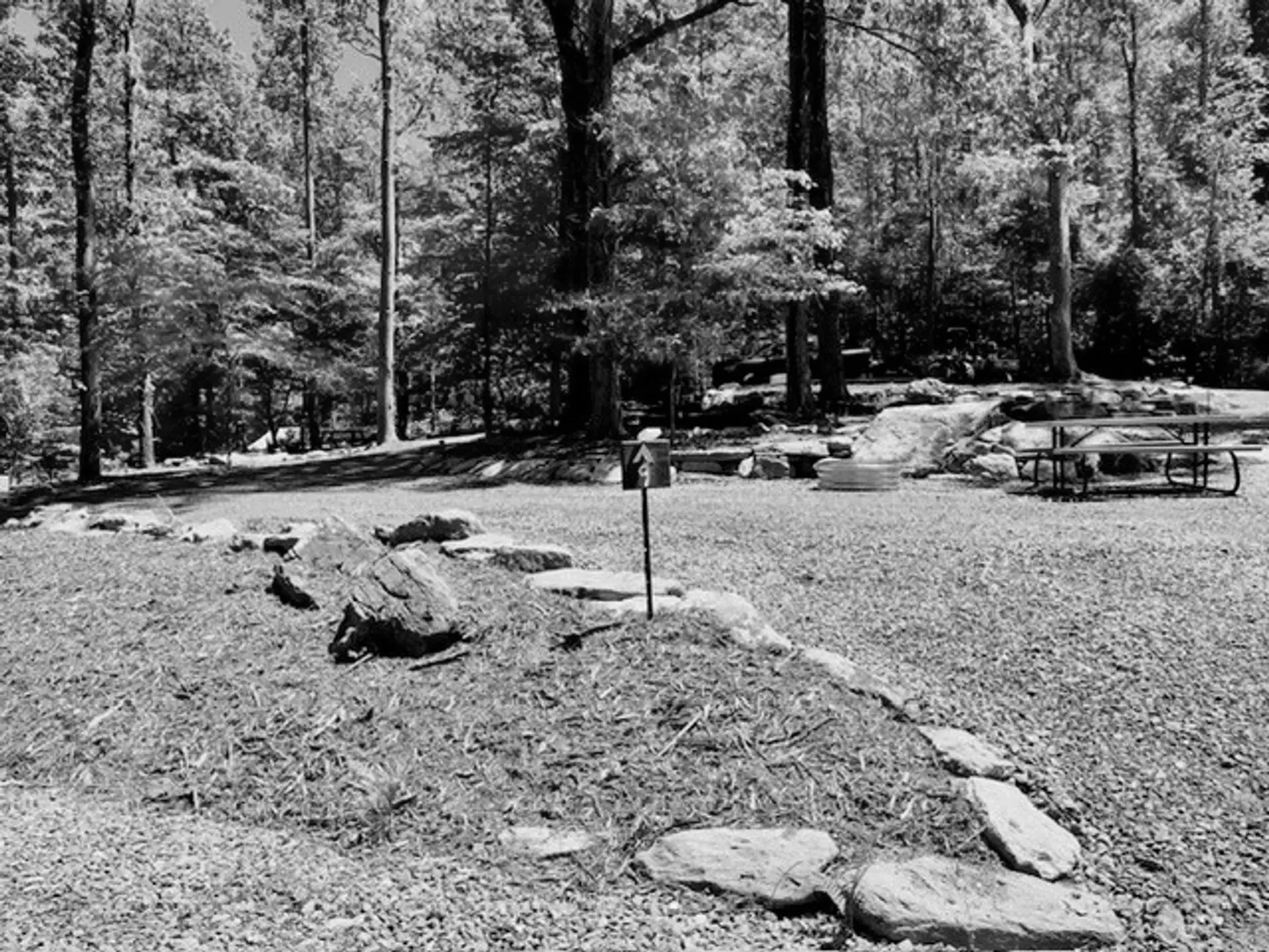 Best Asheville Campgrounds