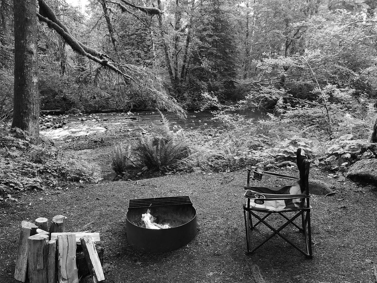 Best Ashford Campgrounds