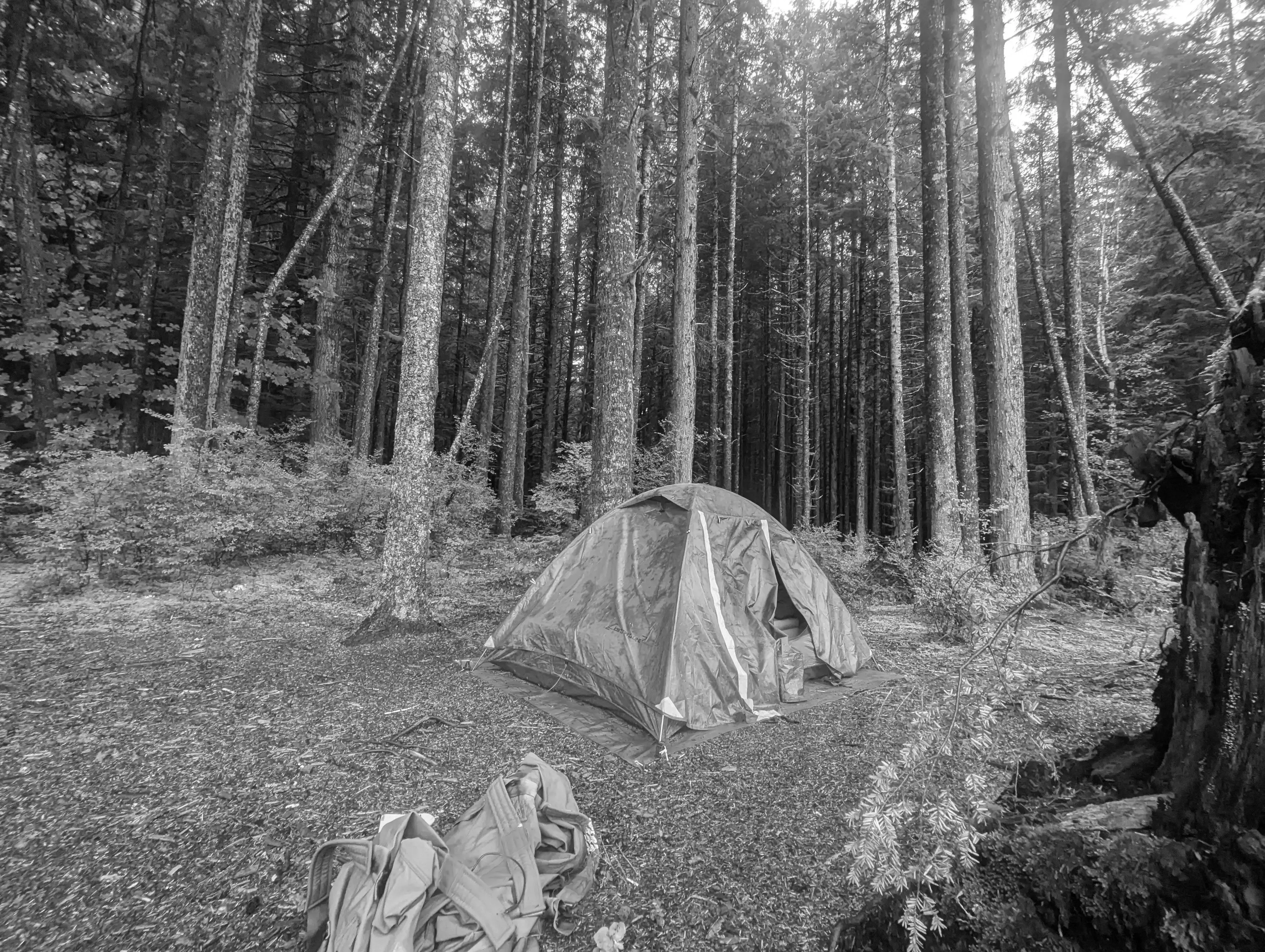 Best Bainbridge Island Campgrounds