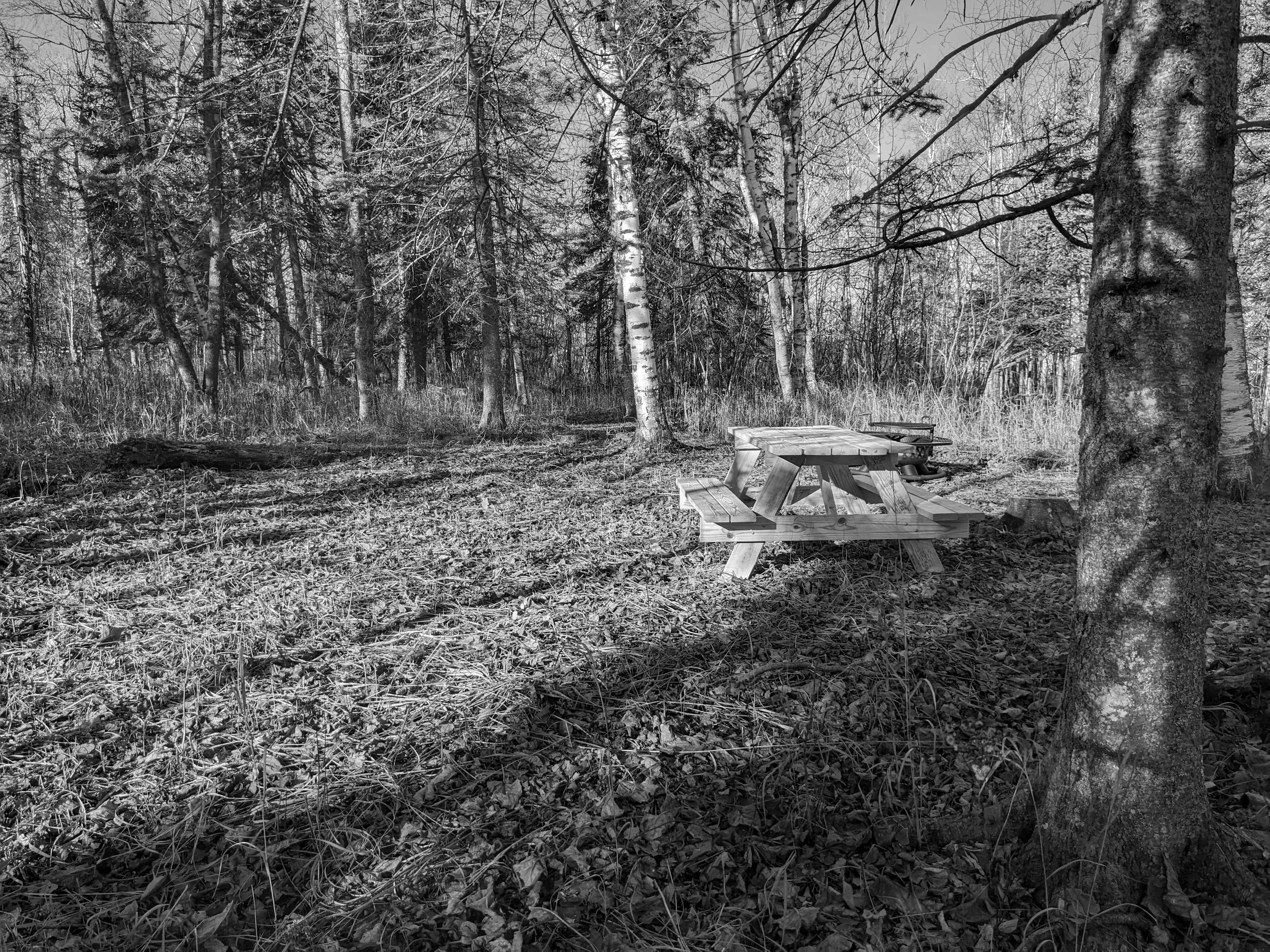 Best Beaver Bay Campgrounds