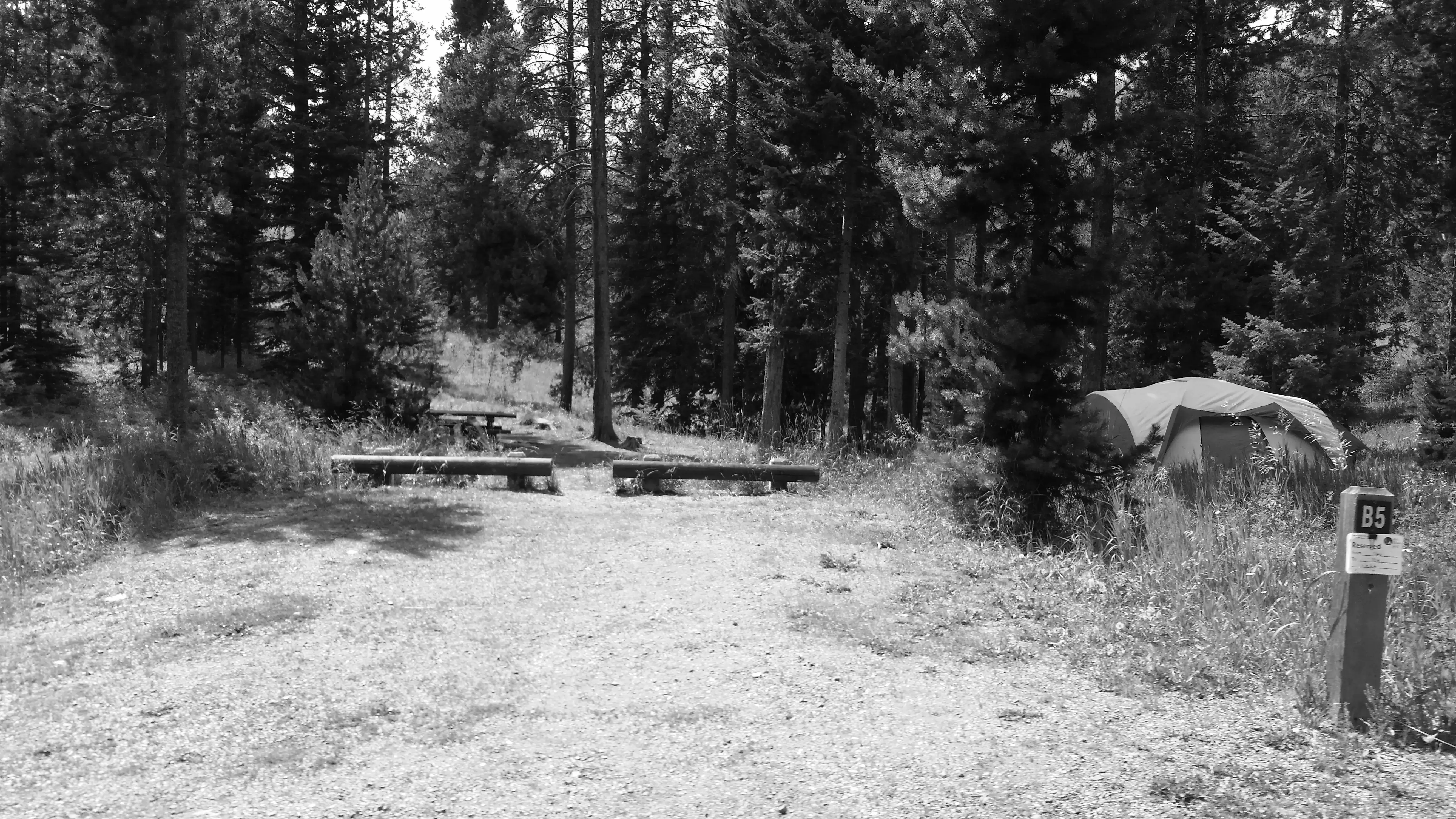 Best Beaver Campgrounds