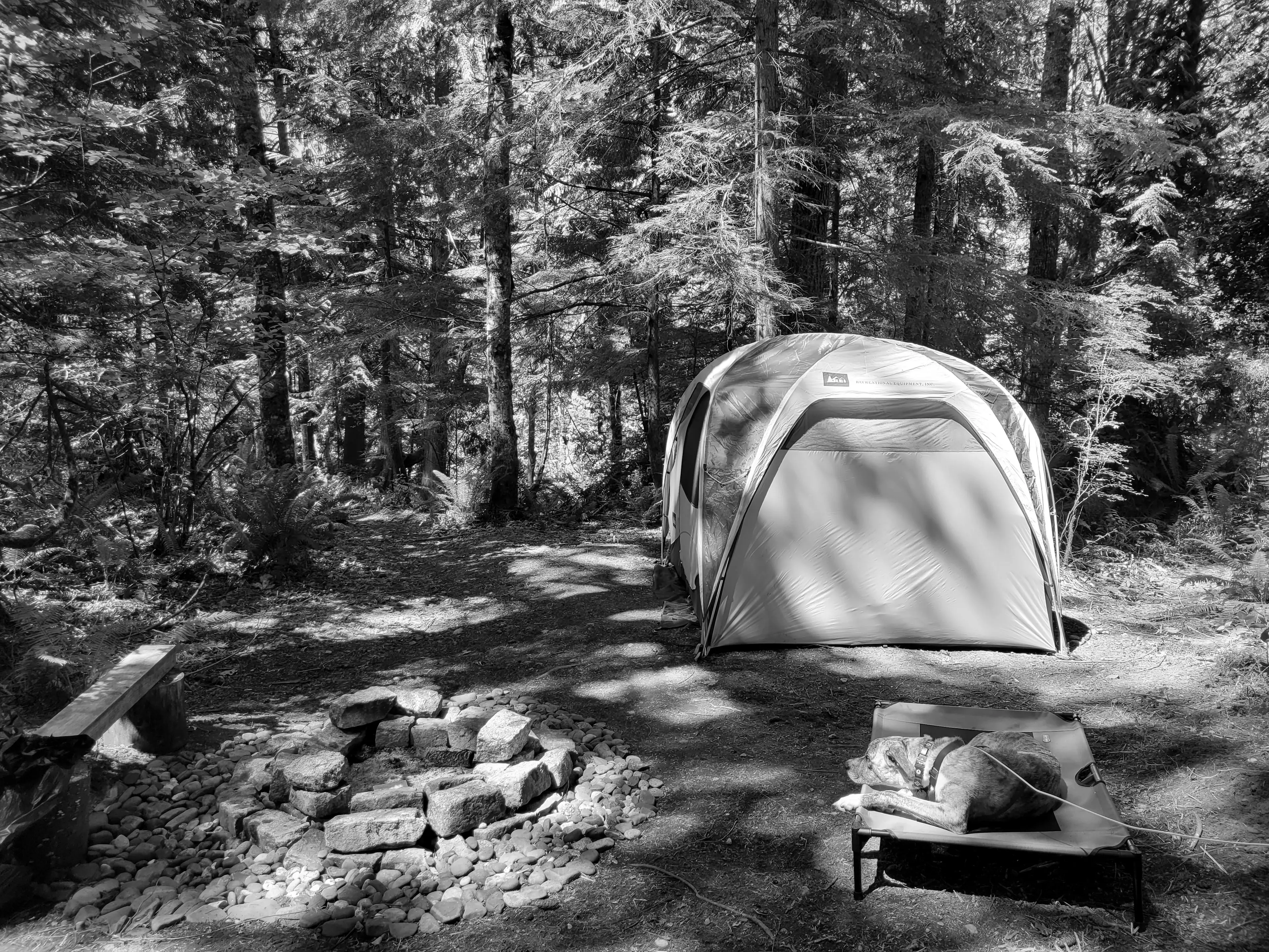 Best Bellevue Campgrounds