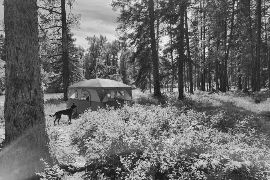 Best Bigfork Campgrounds