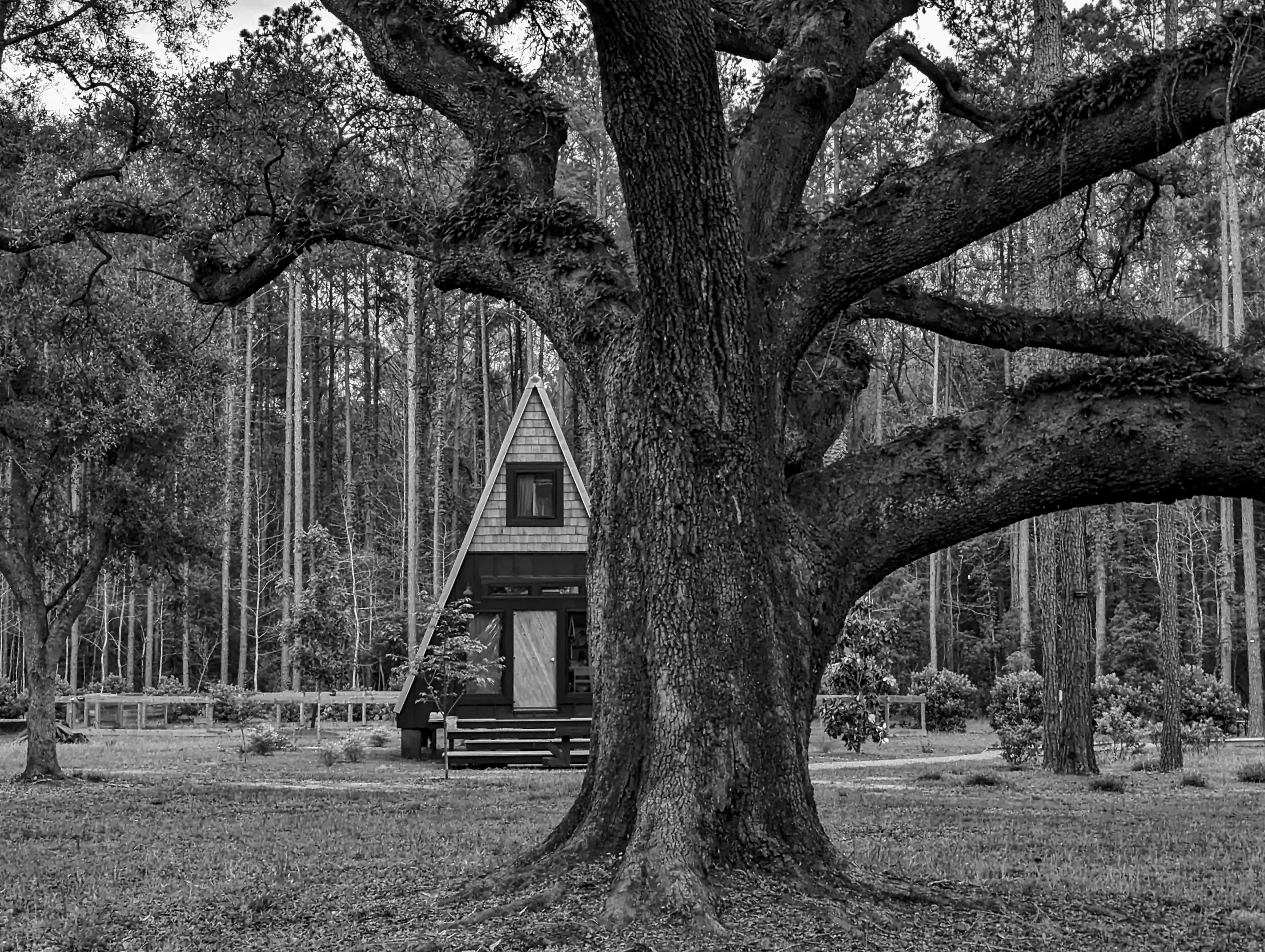 Best Bluffton Campgrounds