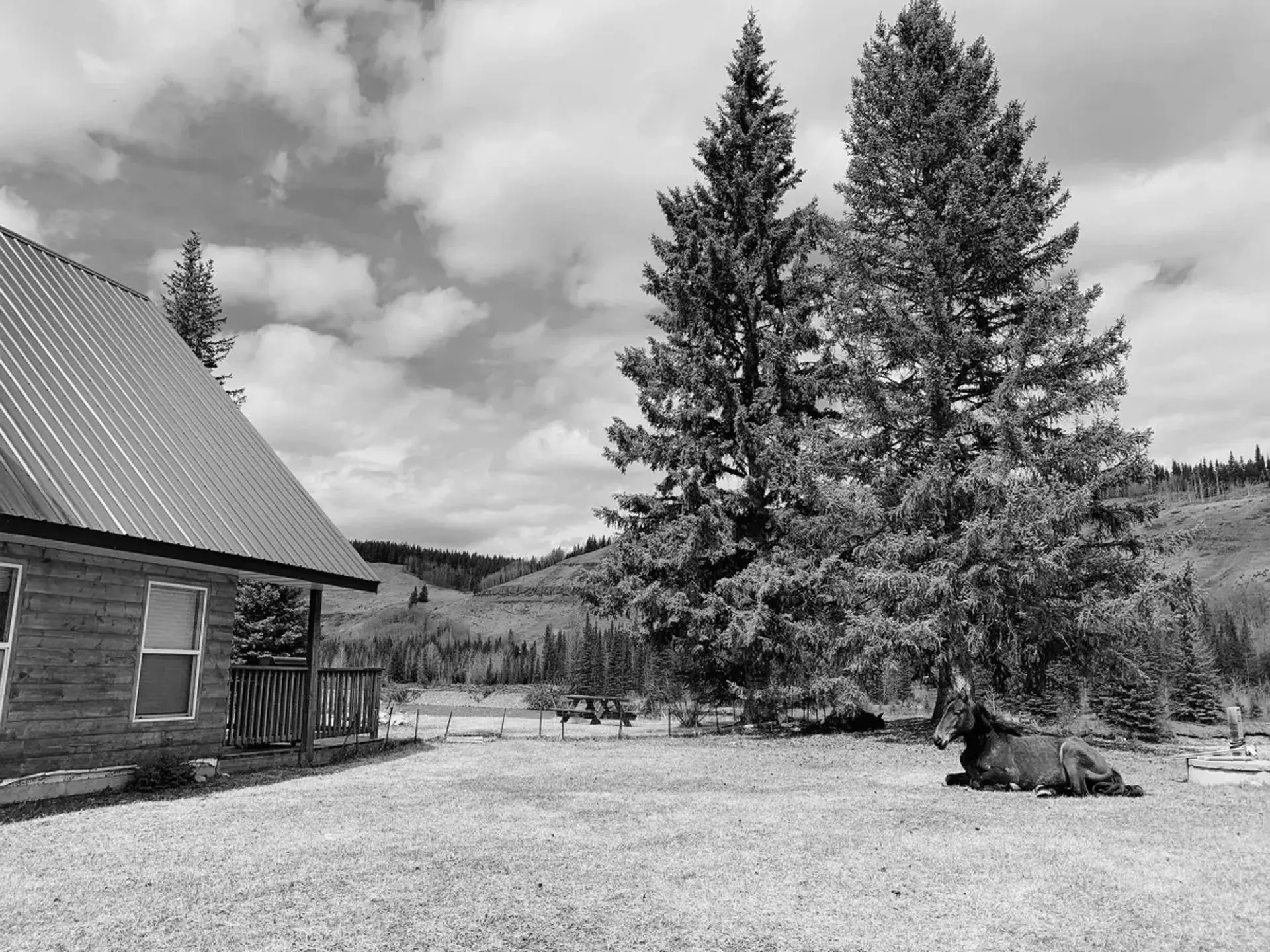 Best Canmore Campgrounds