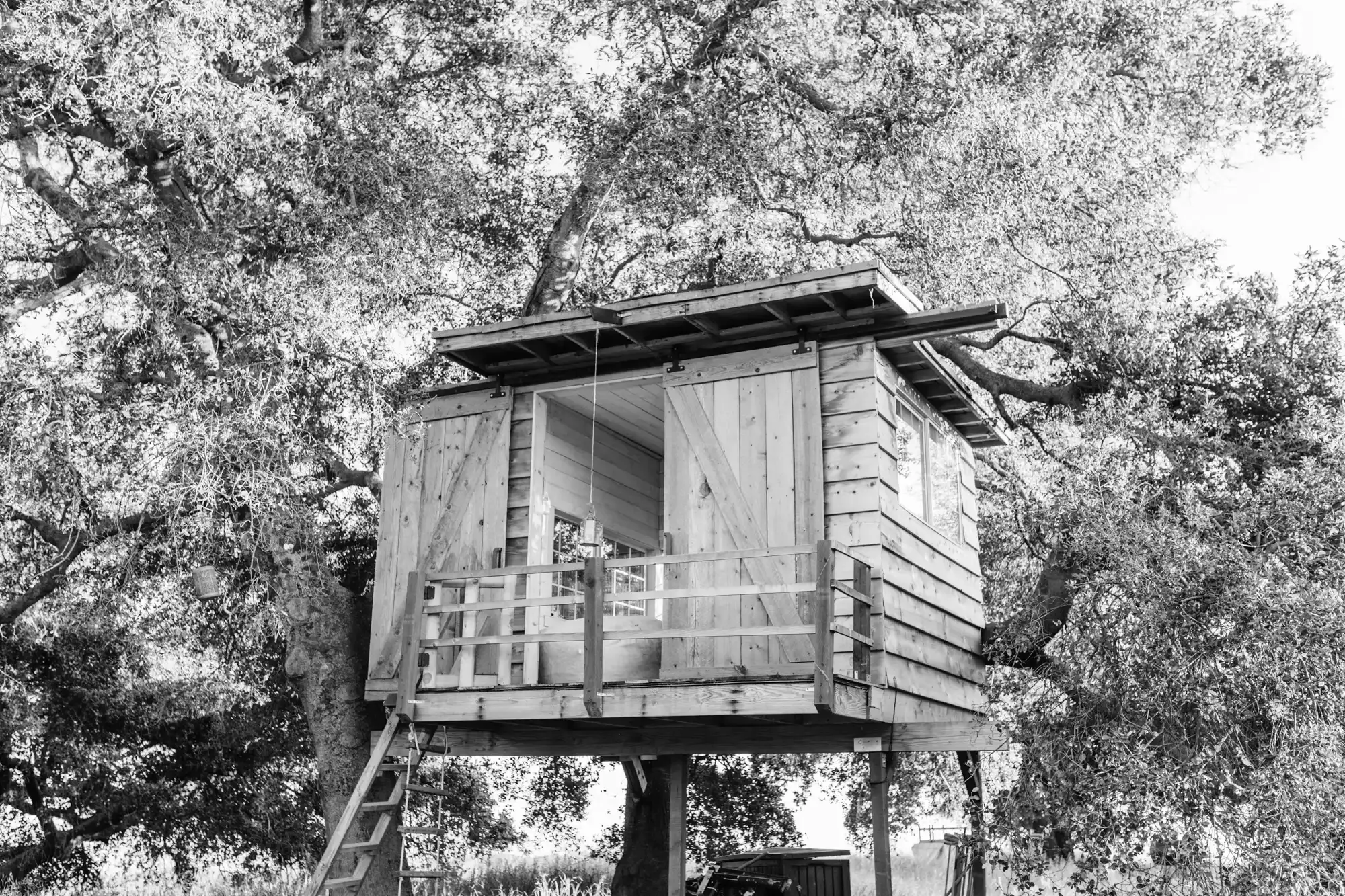 Best Cape May Campgrounds