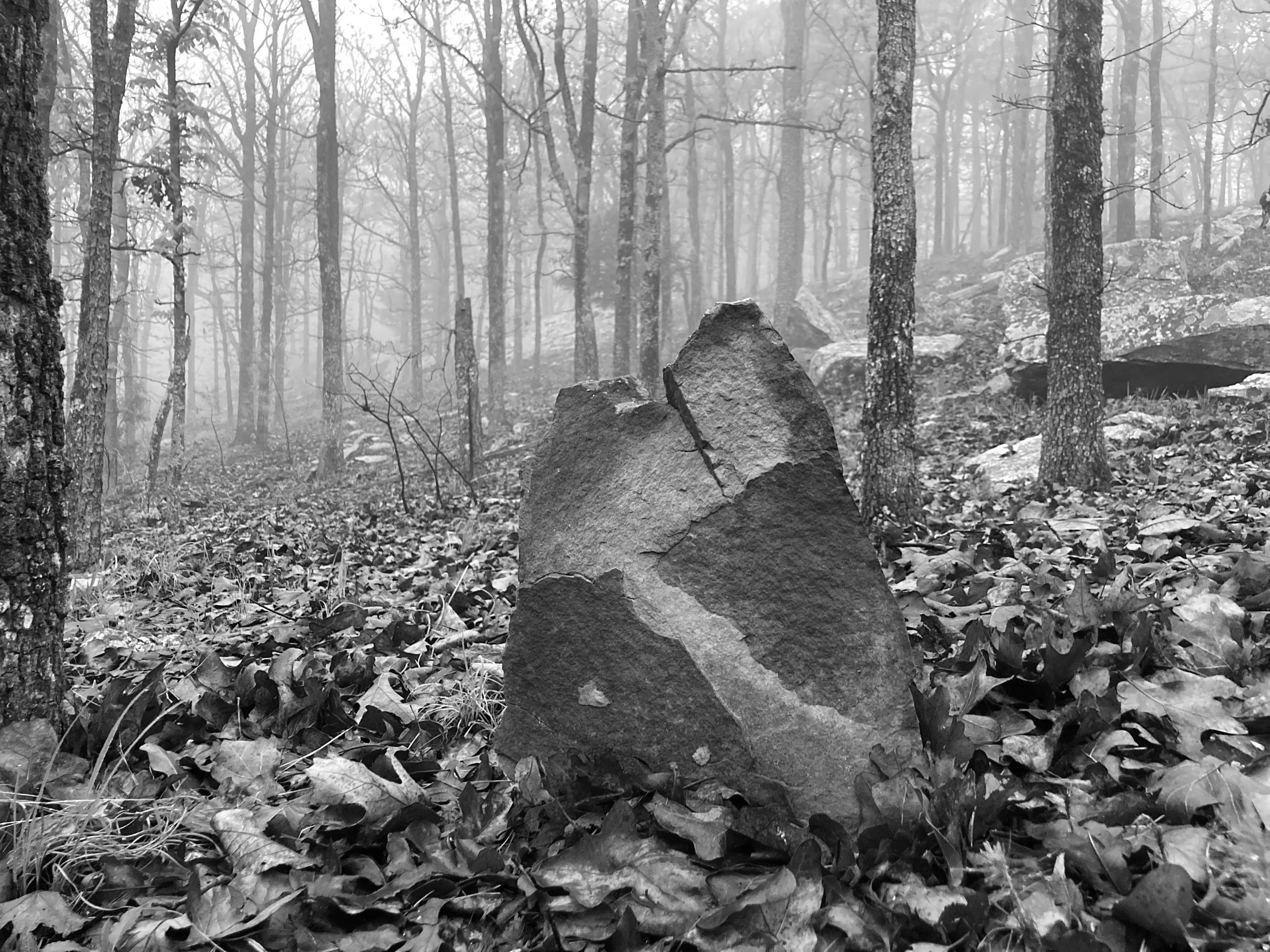 Best Carlton Landing Campgrounds