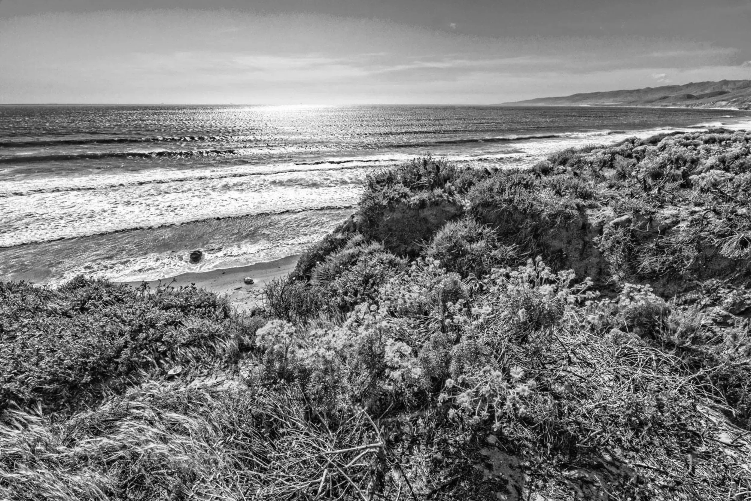 Best Carpinteria Campgrounds