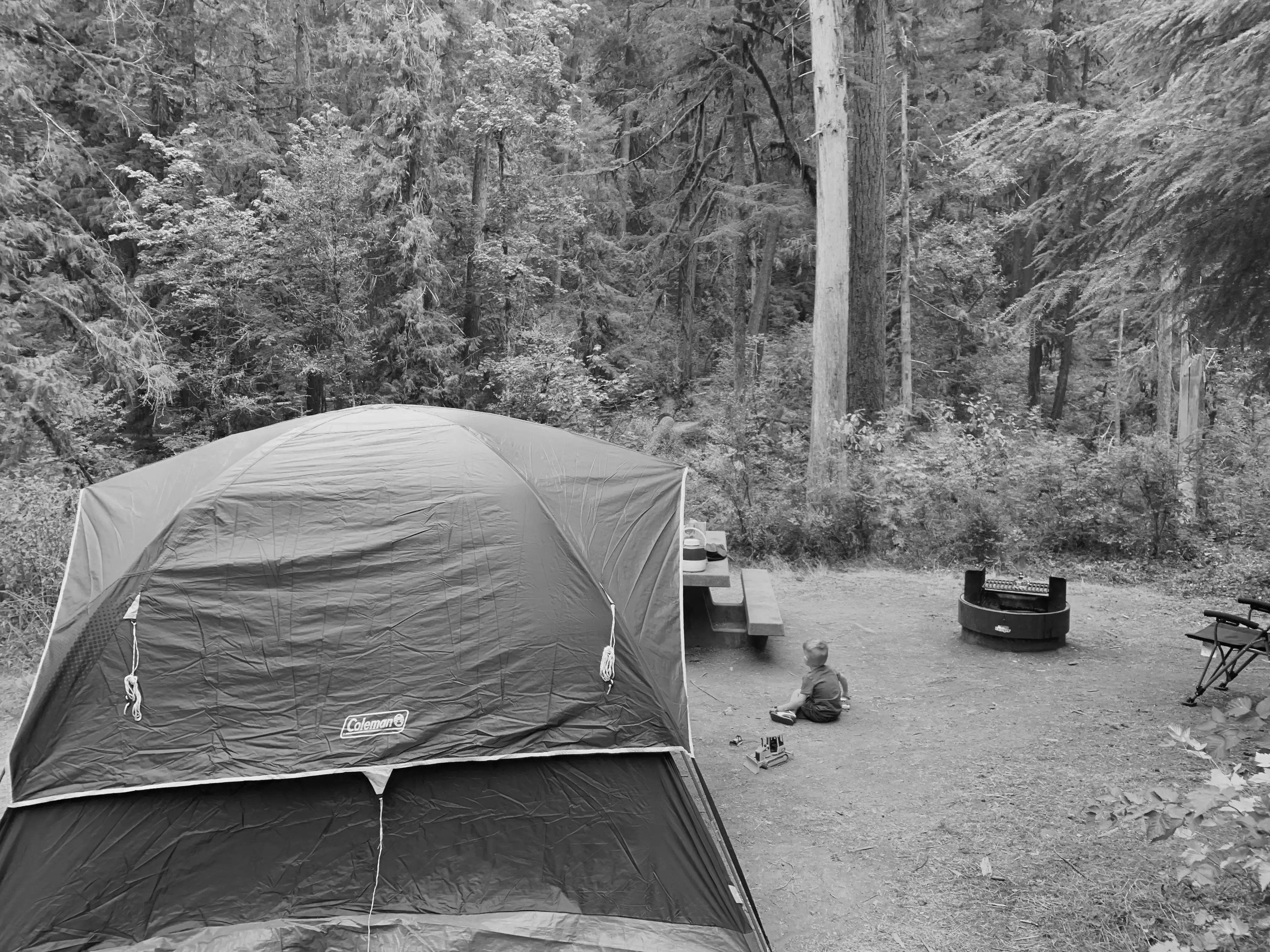 Best Cedar Creek Reservoir Campgrounds