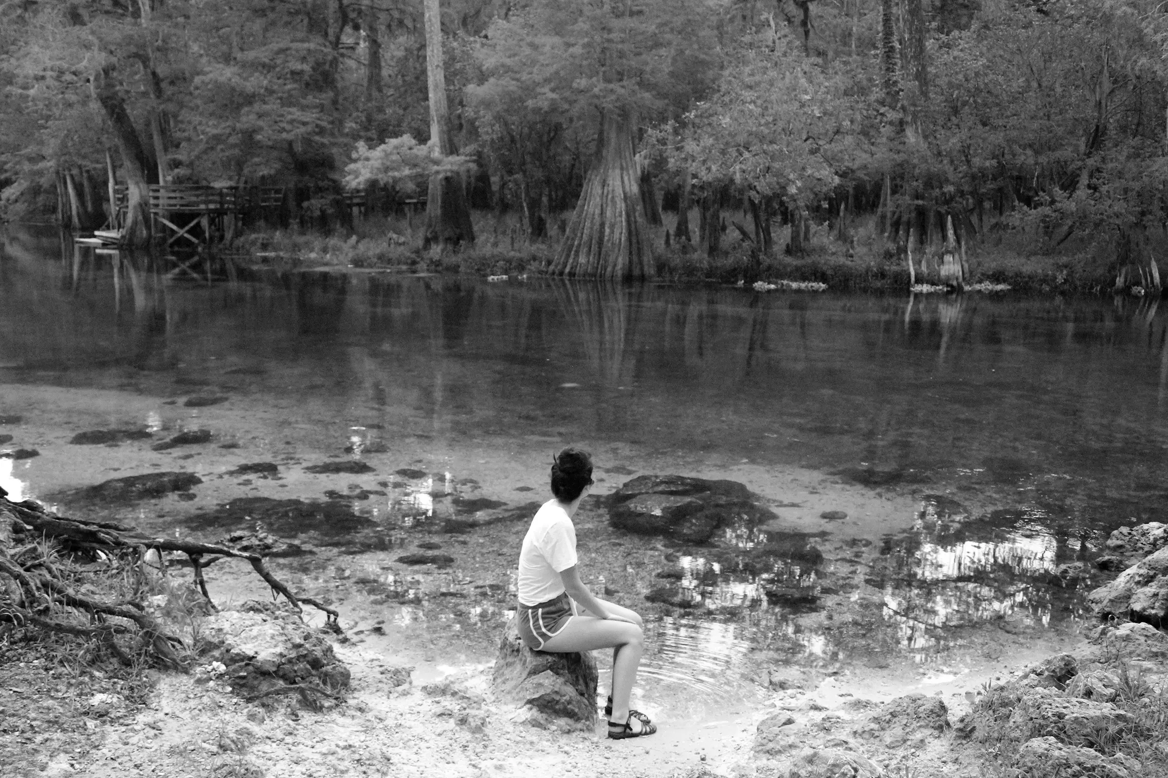 Best Chiefland Campgrounds