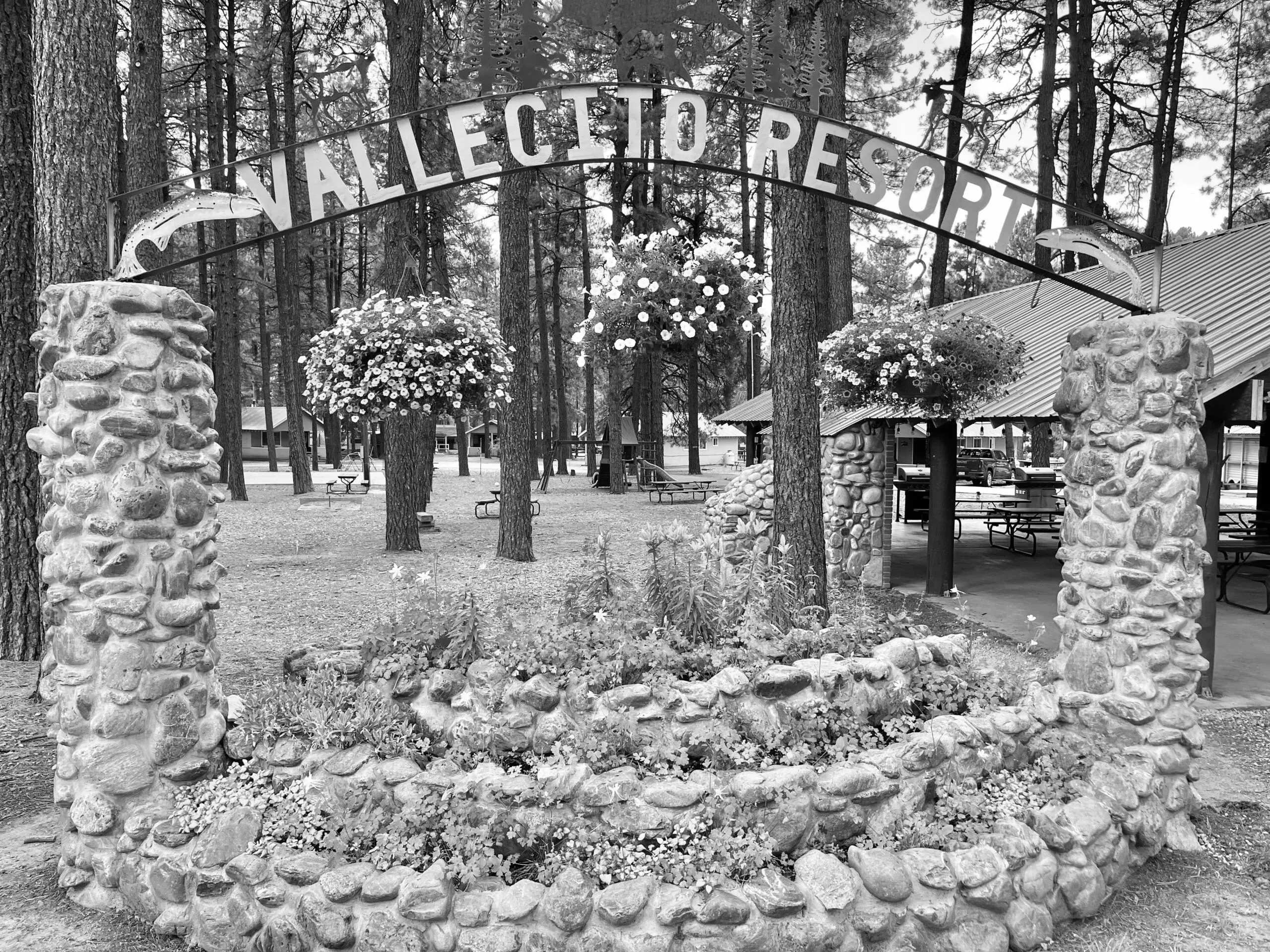 Best City of Creede Campgrounds