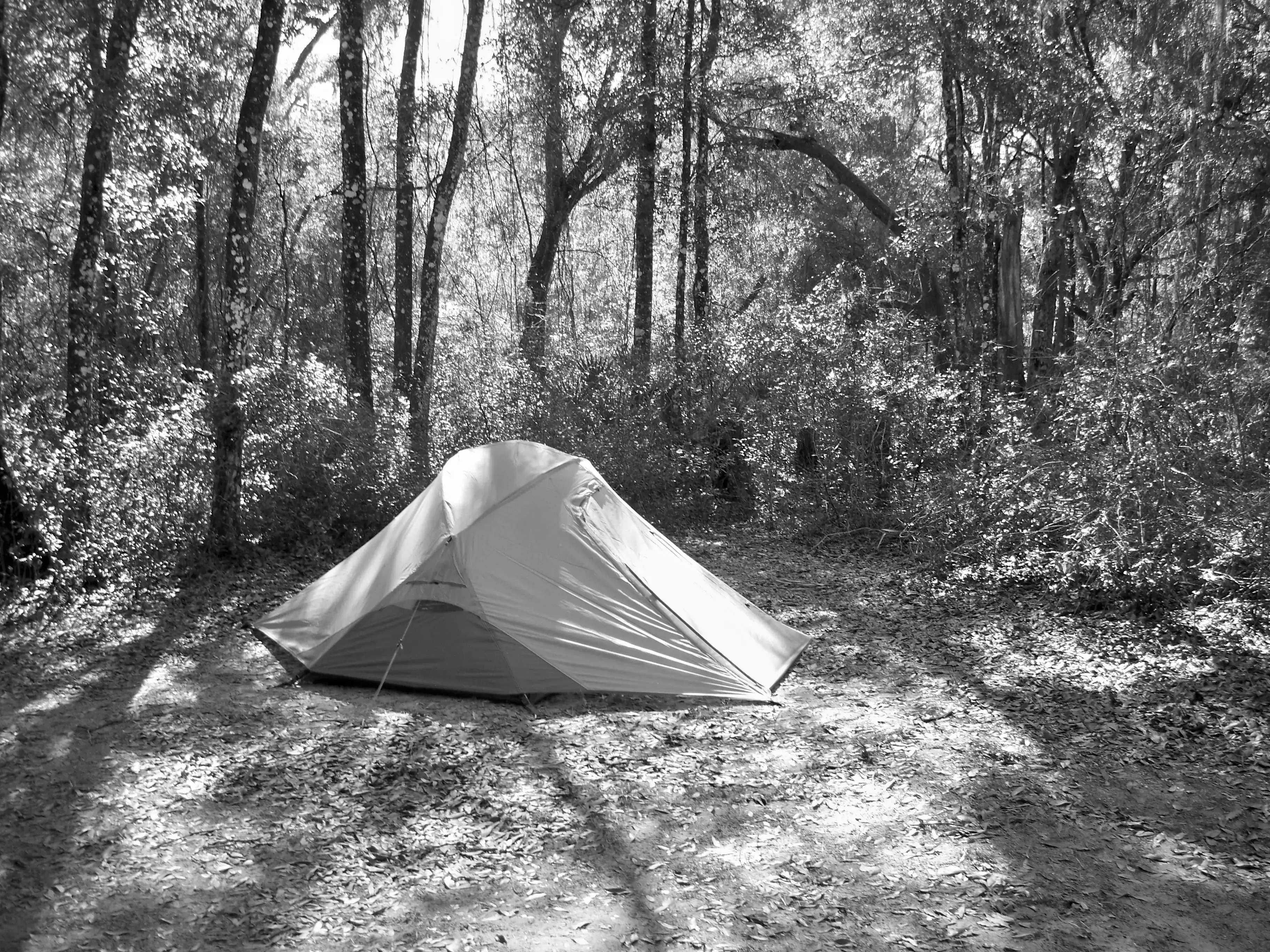 Best Clermont Campgrounds