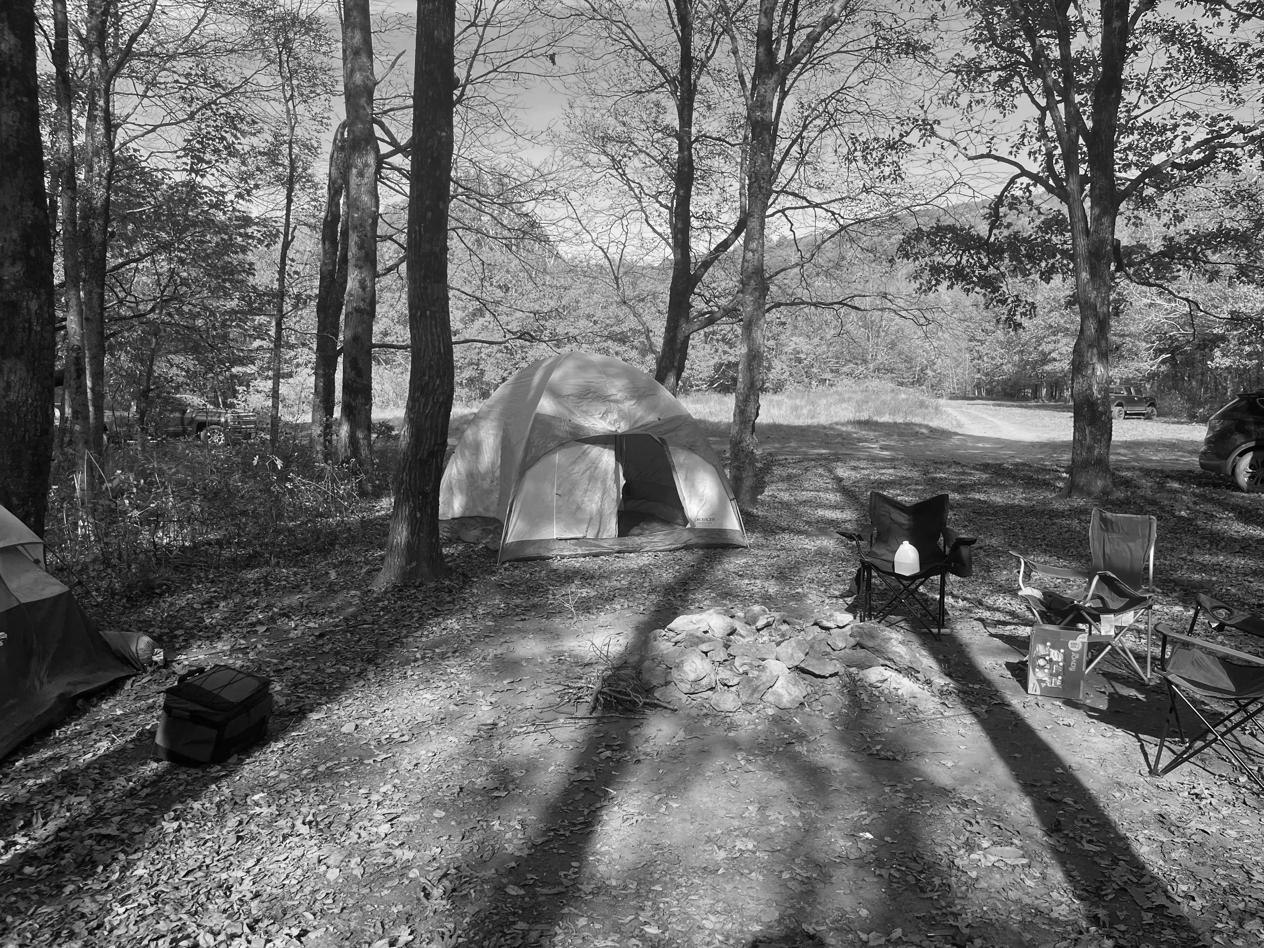 Best Cohutta Campgrounds