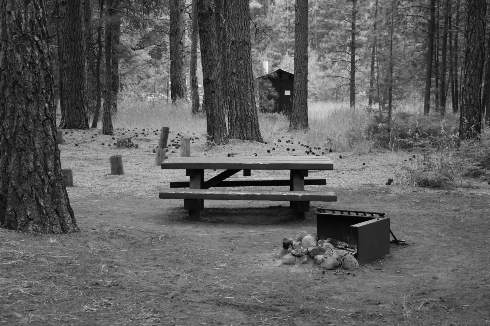 Best Coldspring Campgrounds