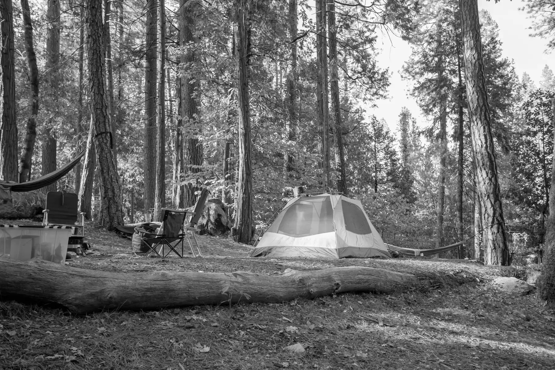 Best Colfax Campgrounds