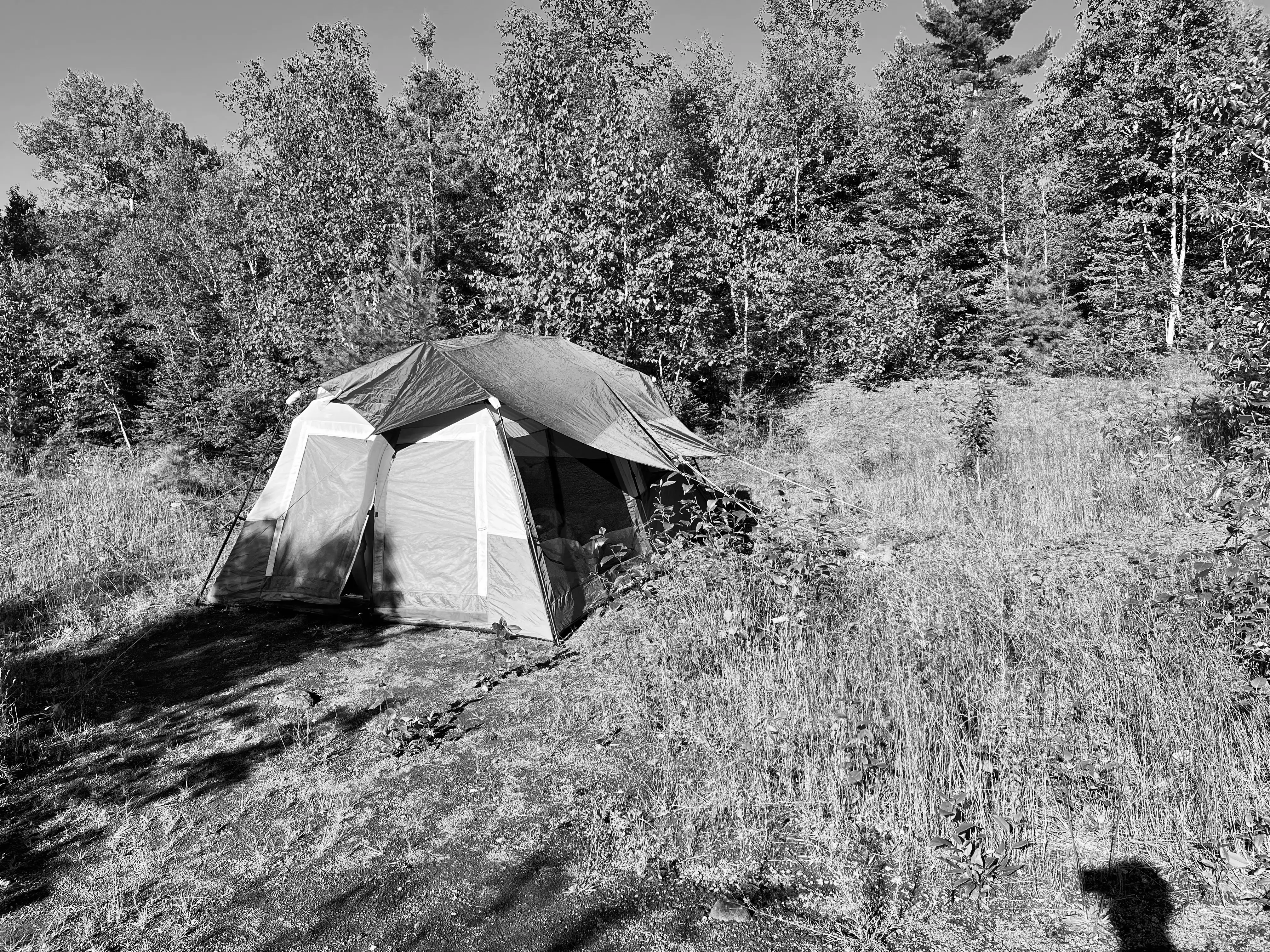 Best Cornucopia Campgrounds