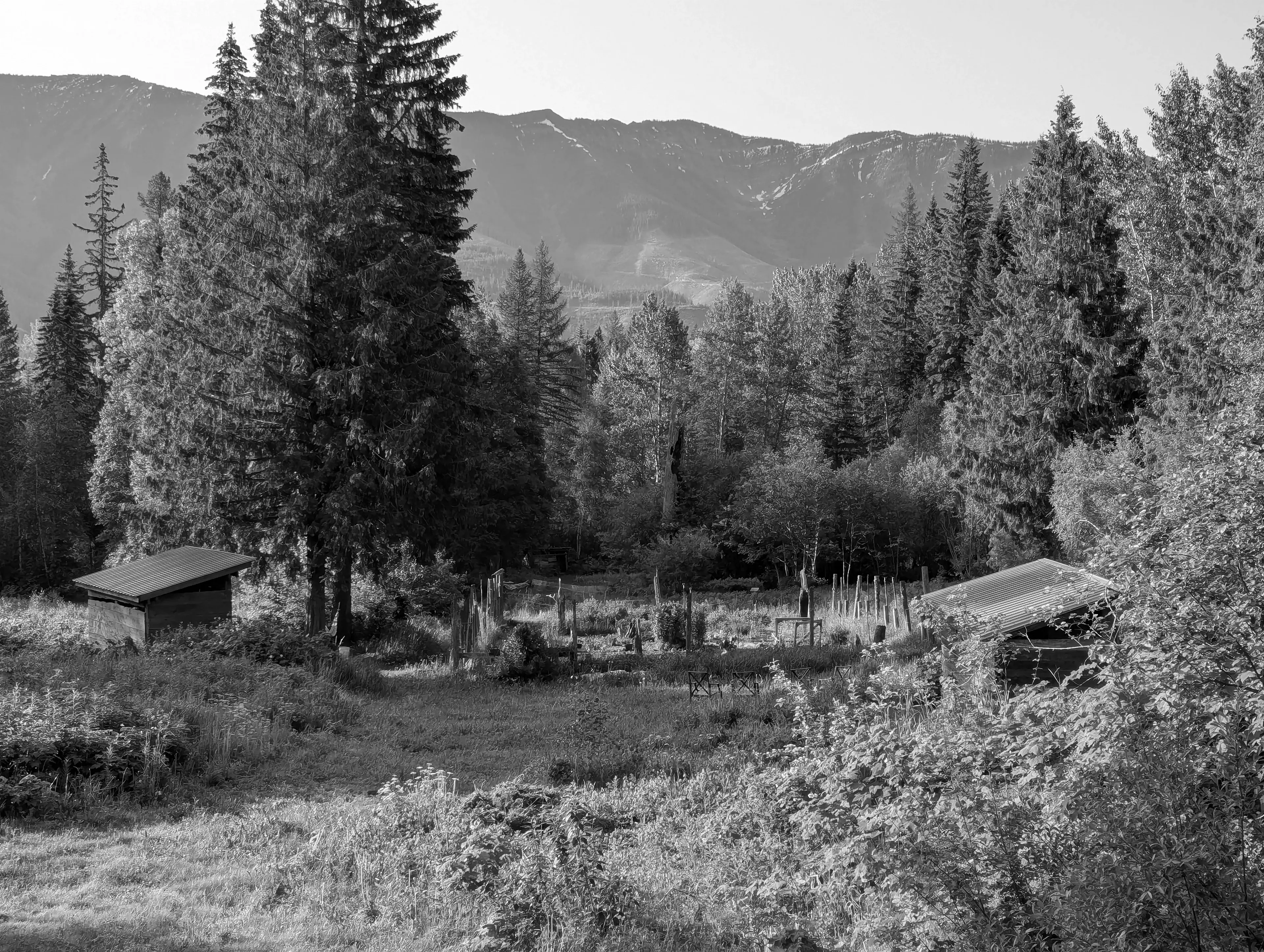 Best Cranbrook Campgrounds