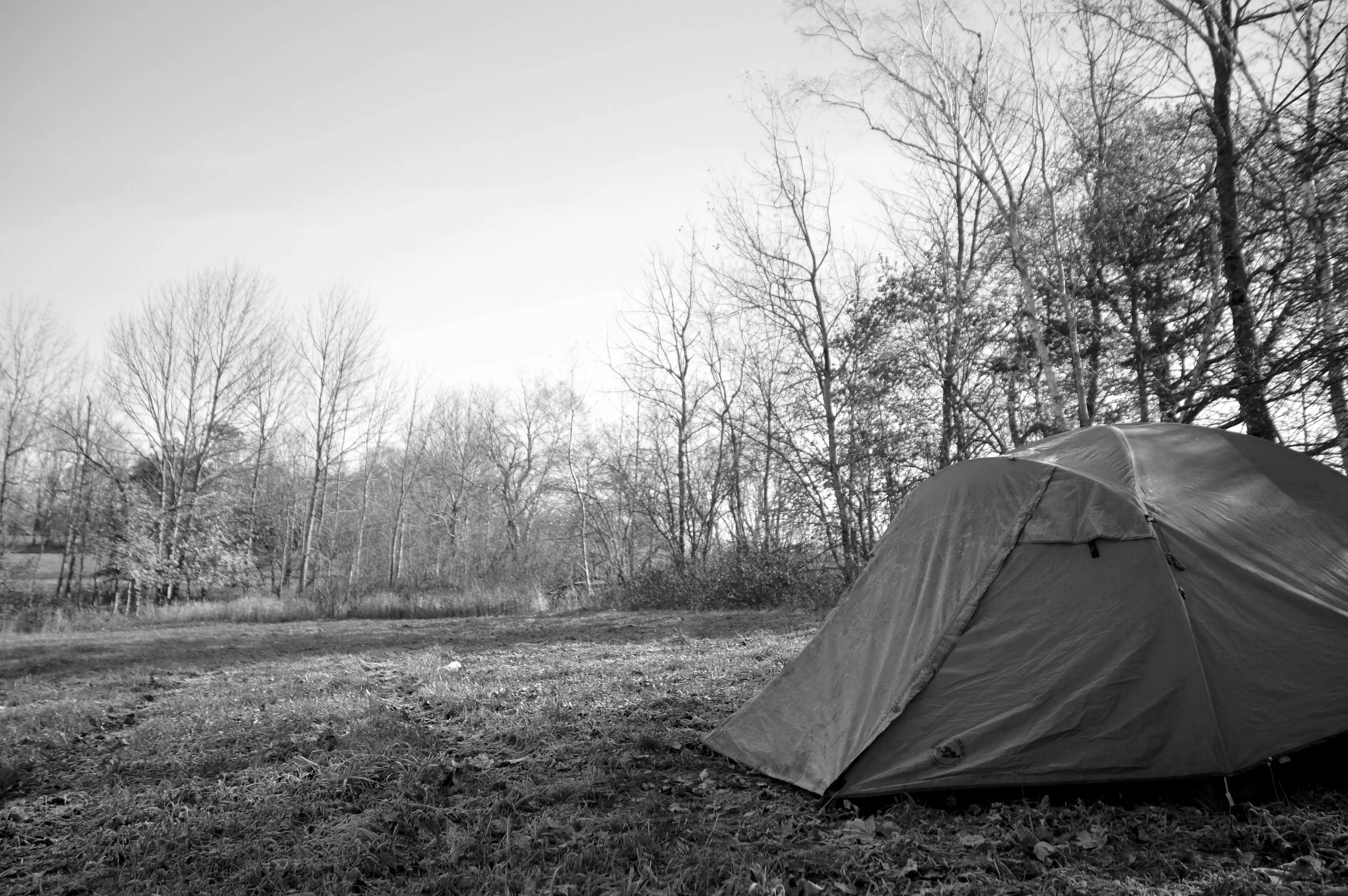 Best Damariscotta Campgrounds