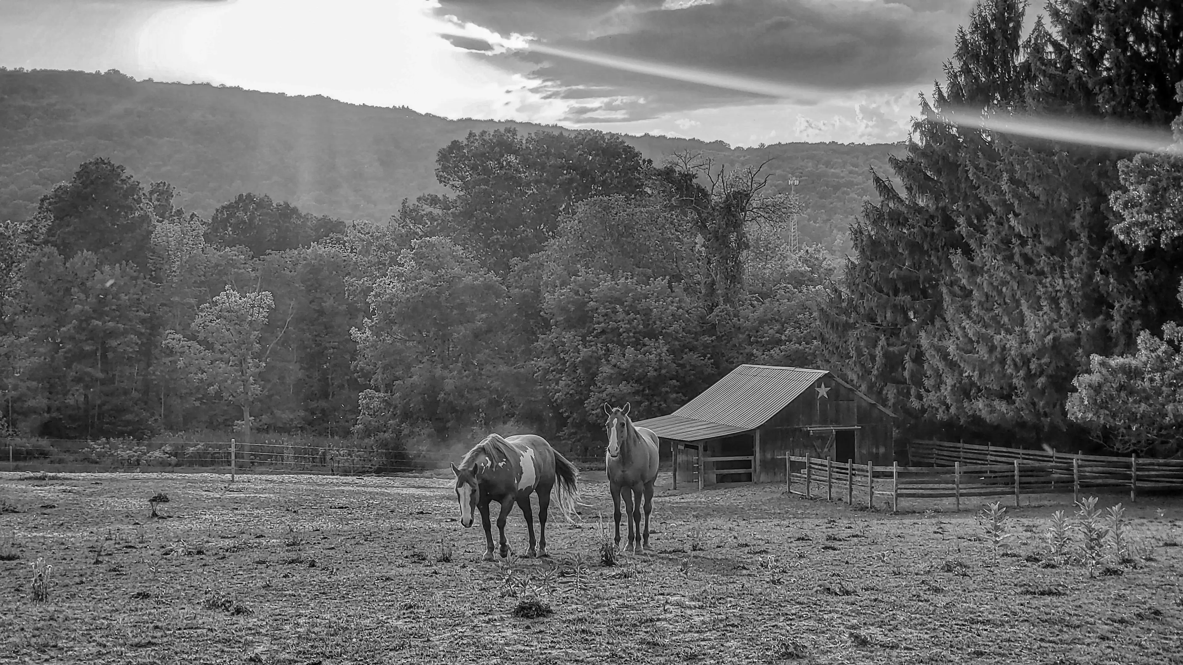 Best Dansville Campgrounds