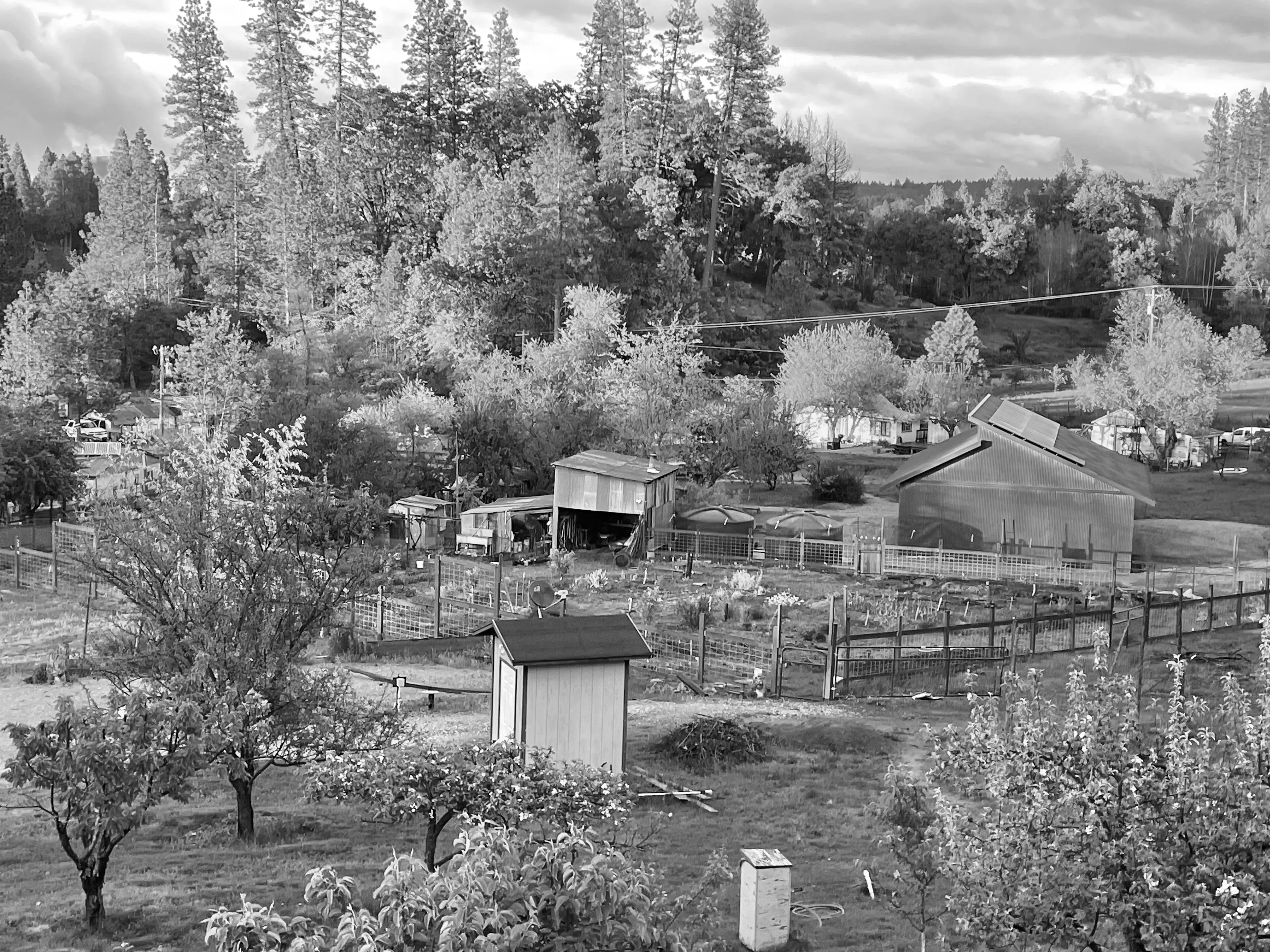 Best Davis Campgrounds