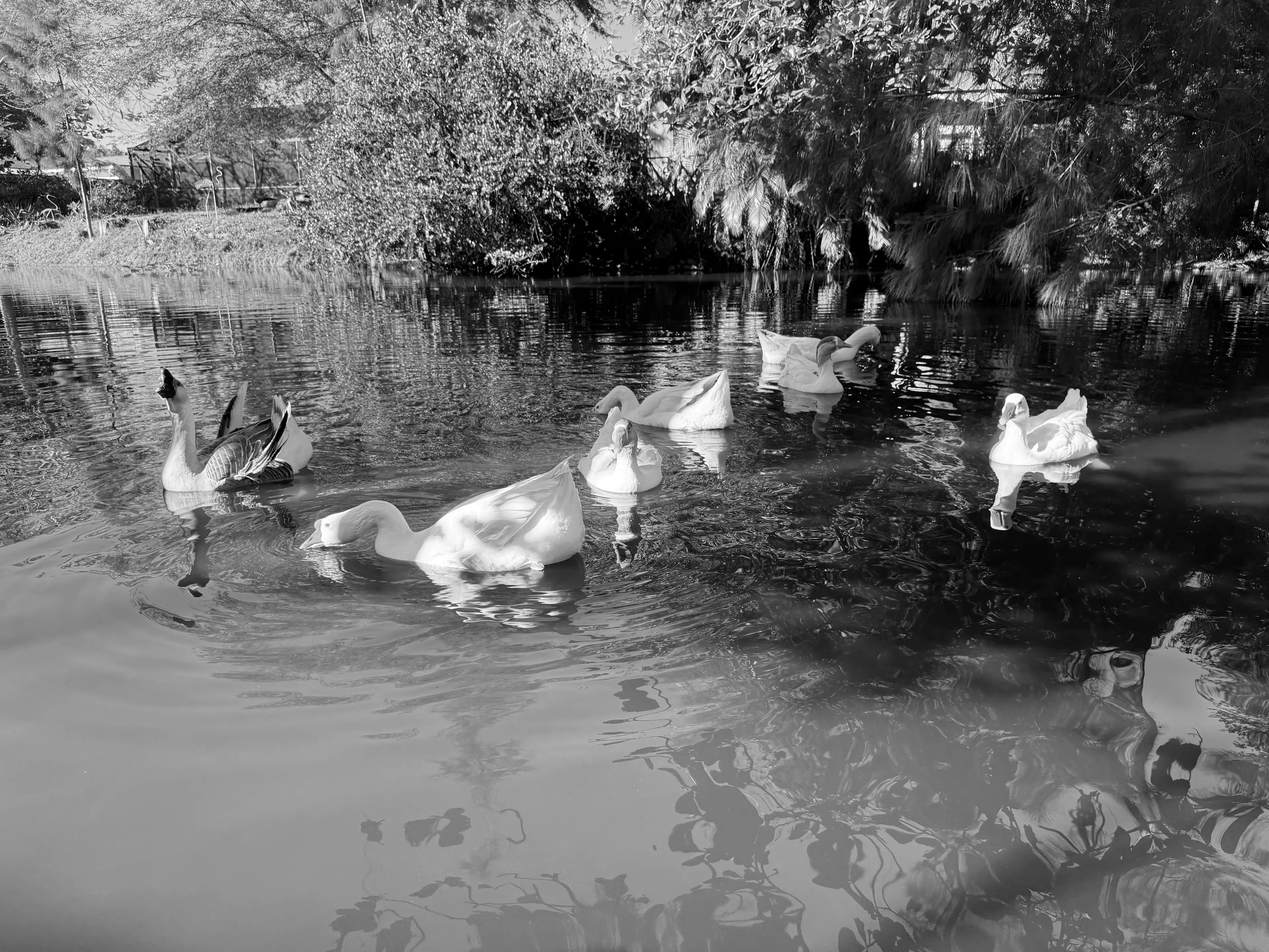 Best Delray Beach Campgrounds