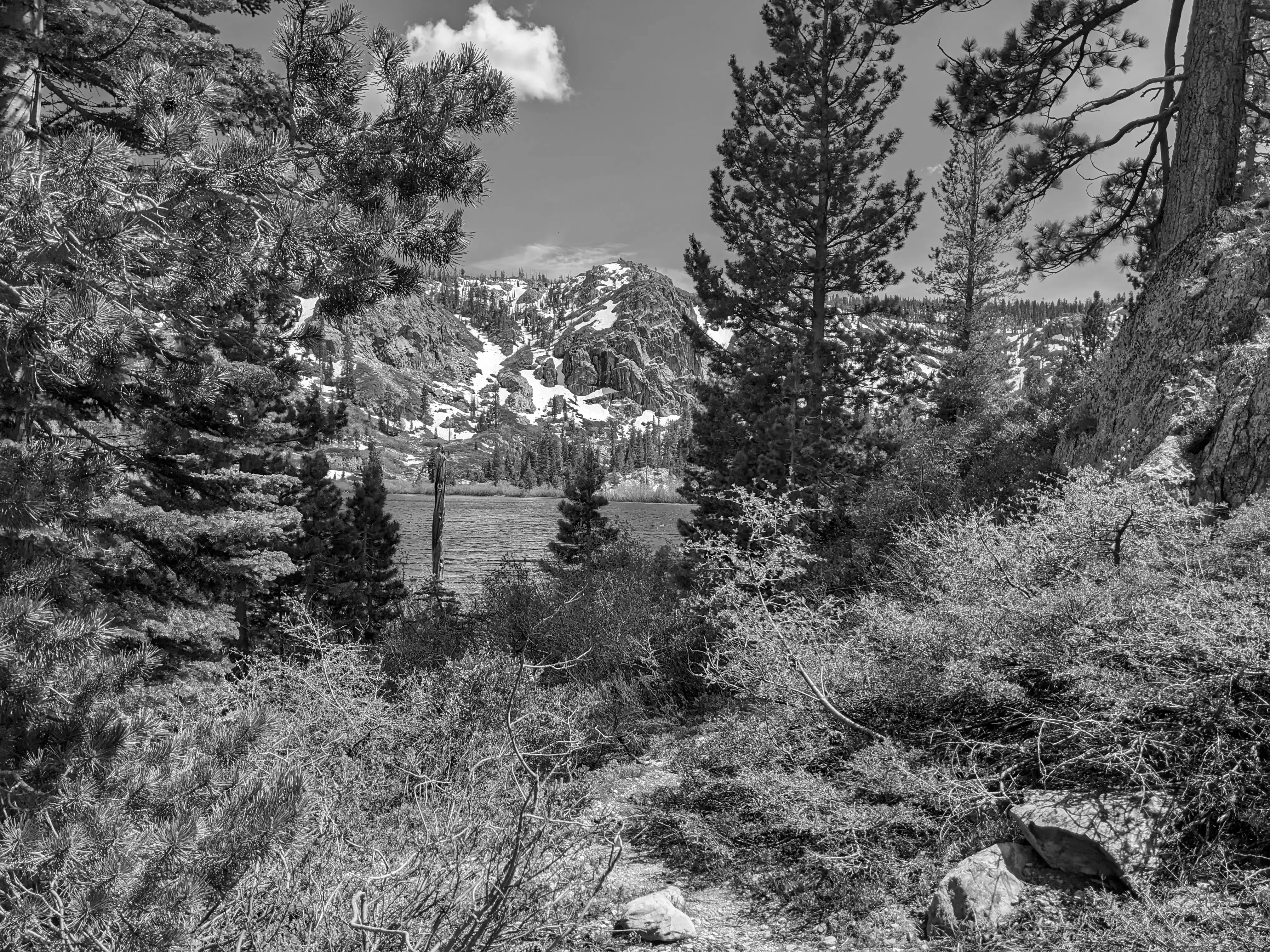 Best Downieville Campgrounds