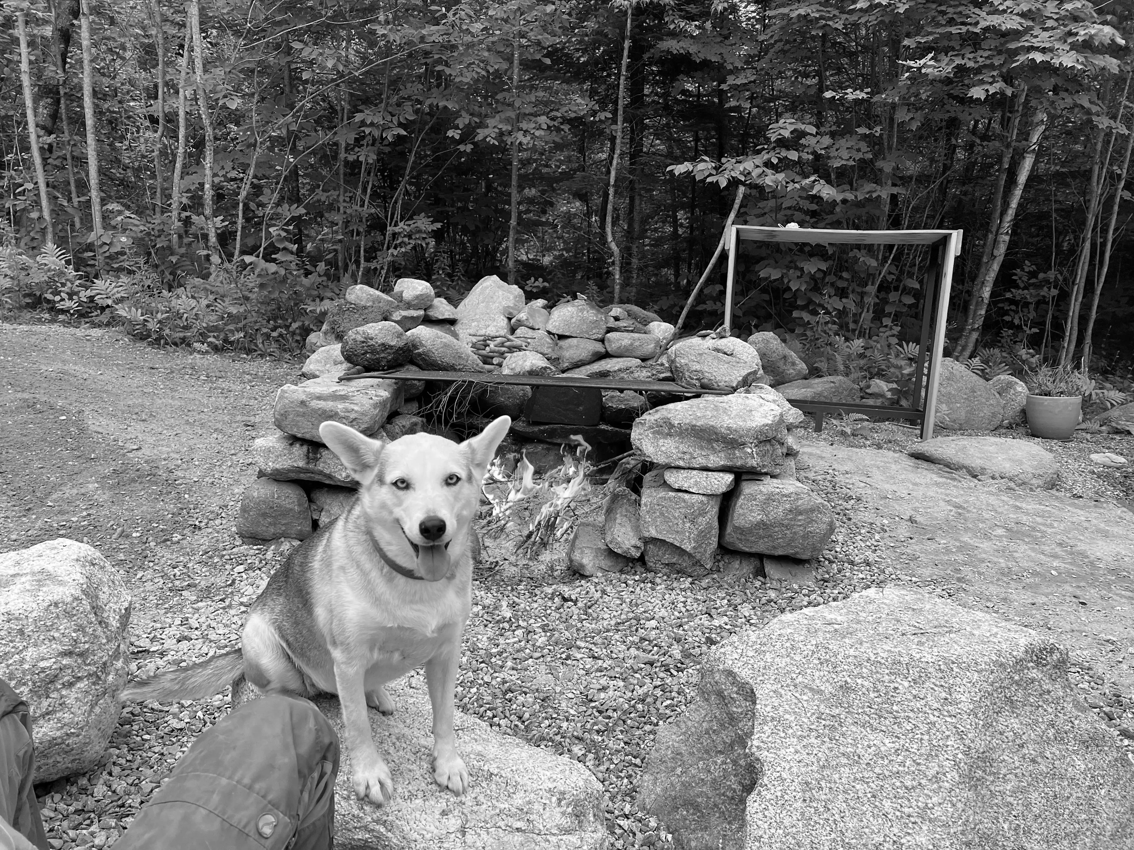 Best East Burke Campgrounds