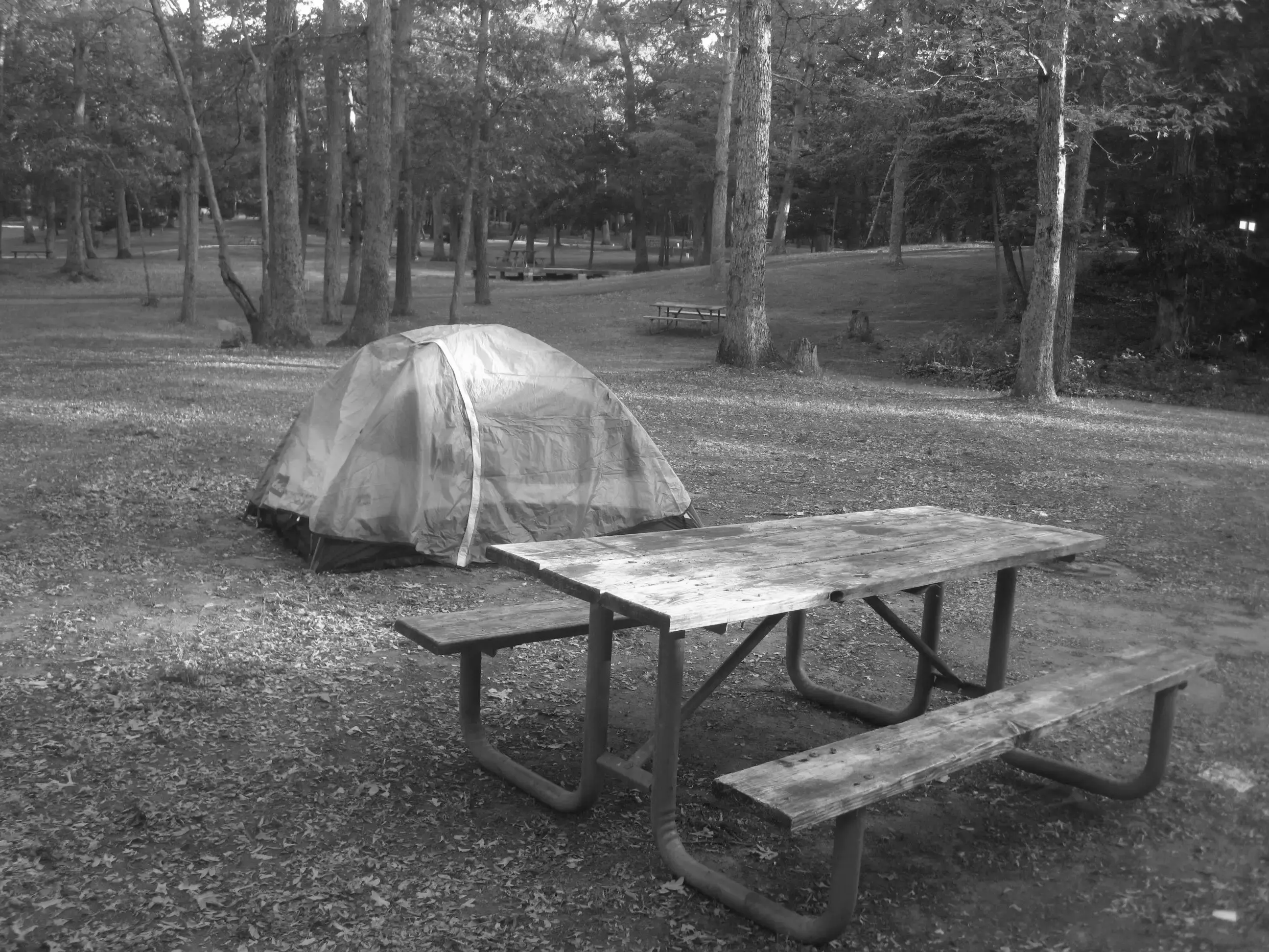 Best East Hampton Campgrounds