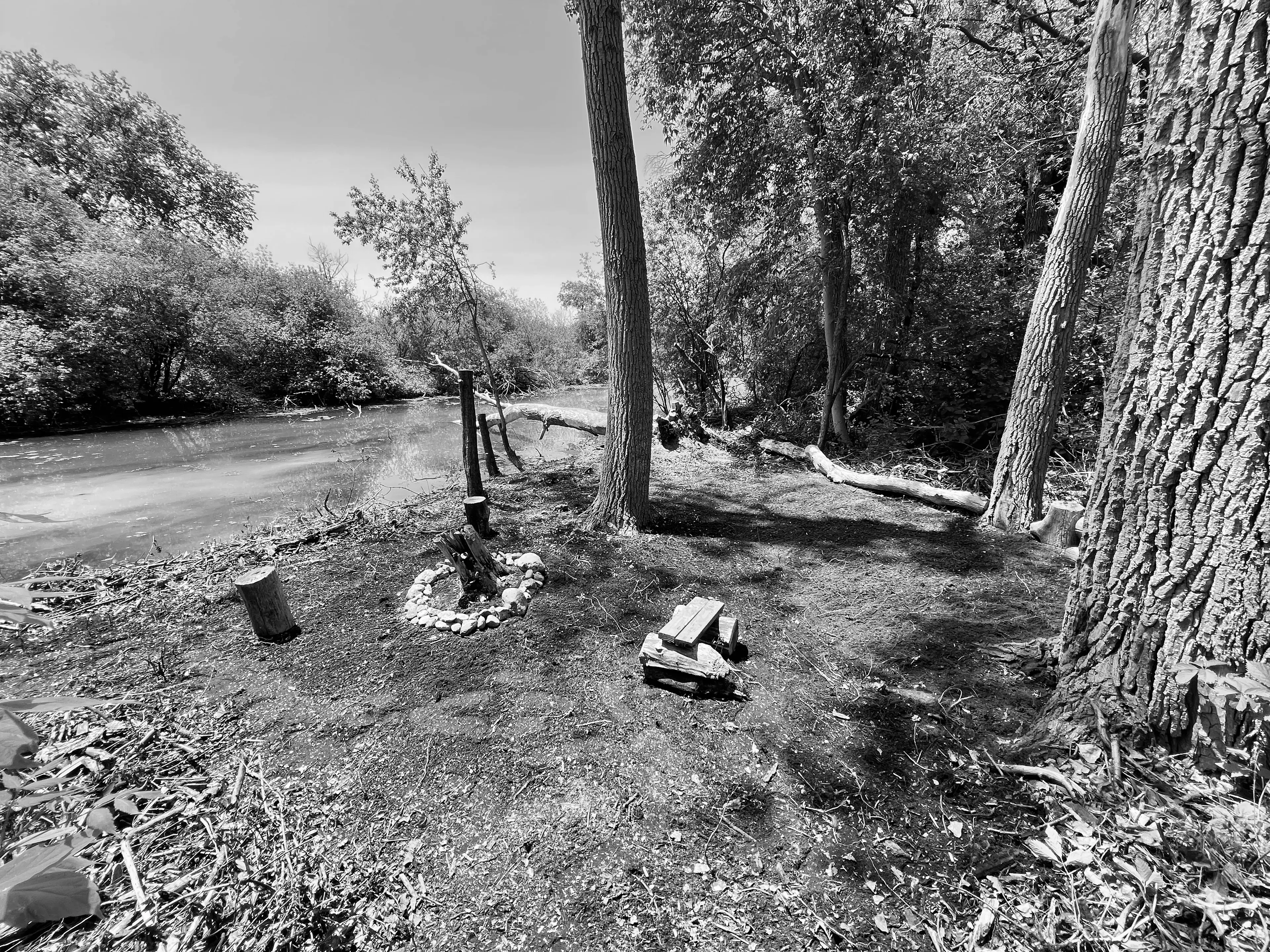 Best Elgin Campgrounds