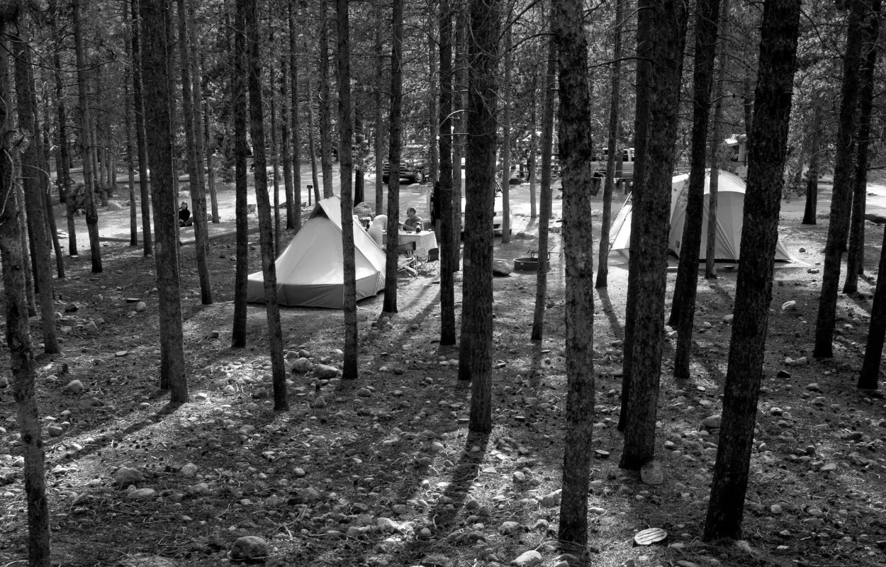 Best Estes Park Campgrounds