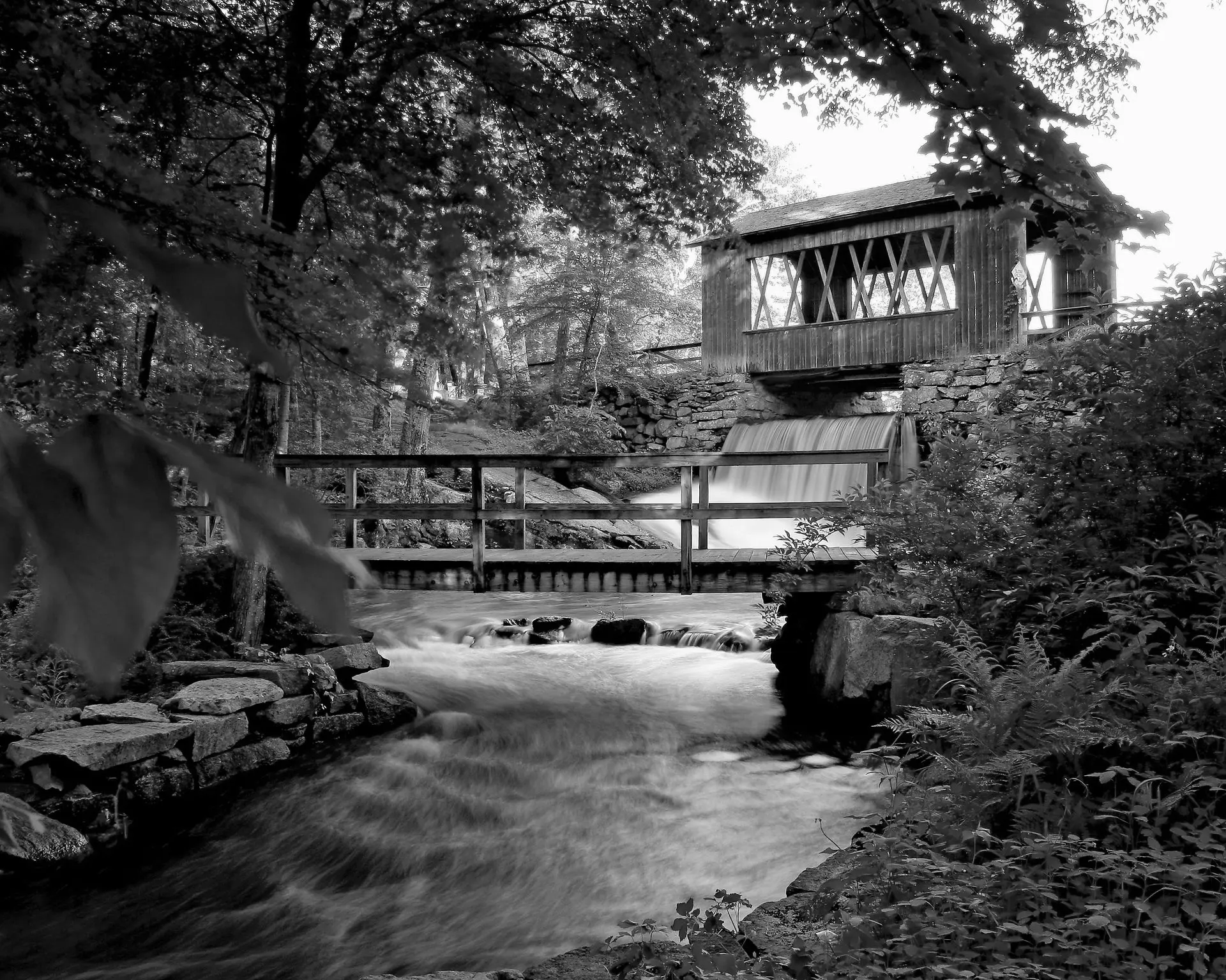 Best Everett Campgrounds