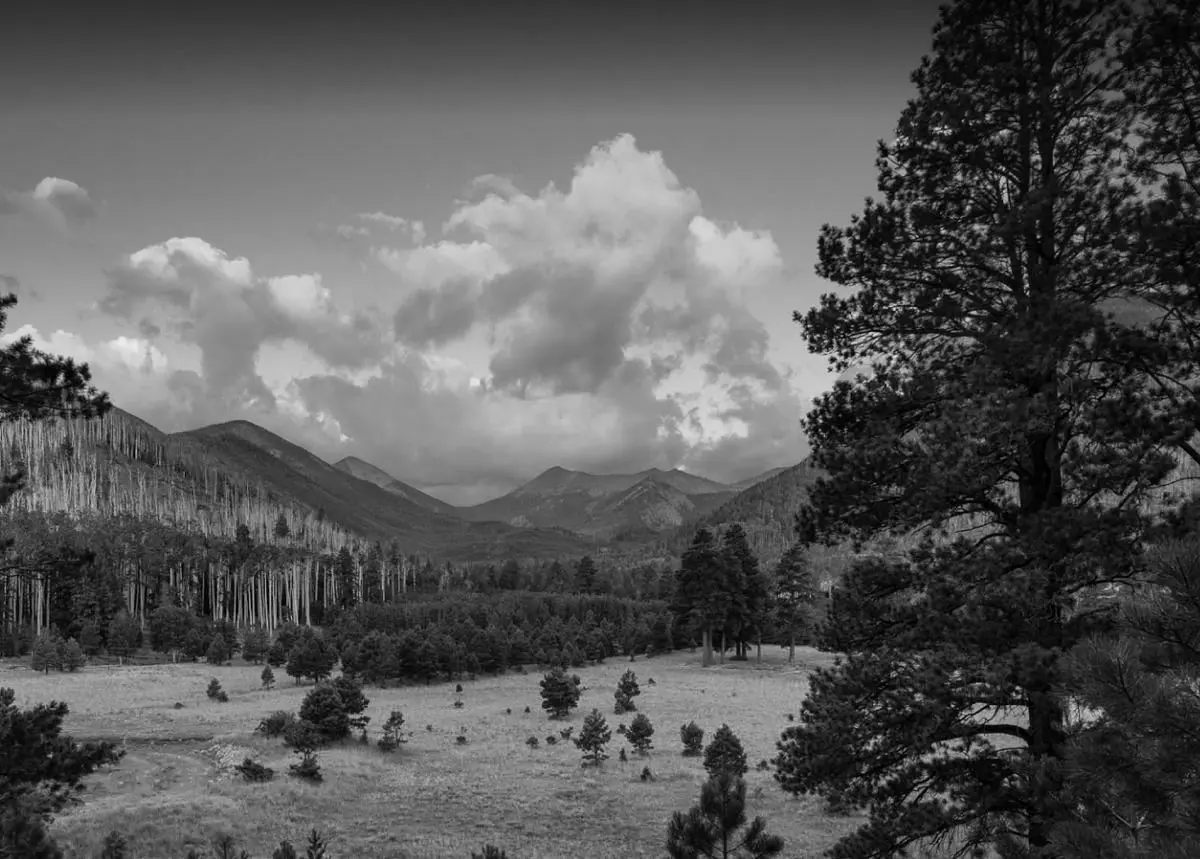 Best Flagstaff Campgrounds
