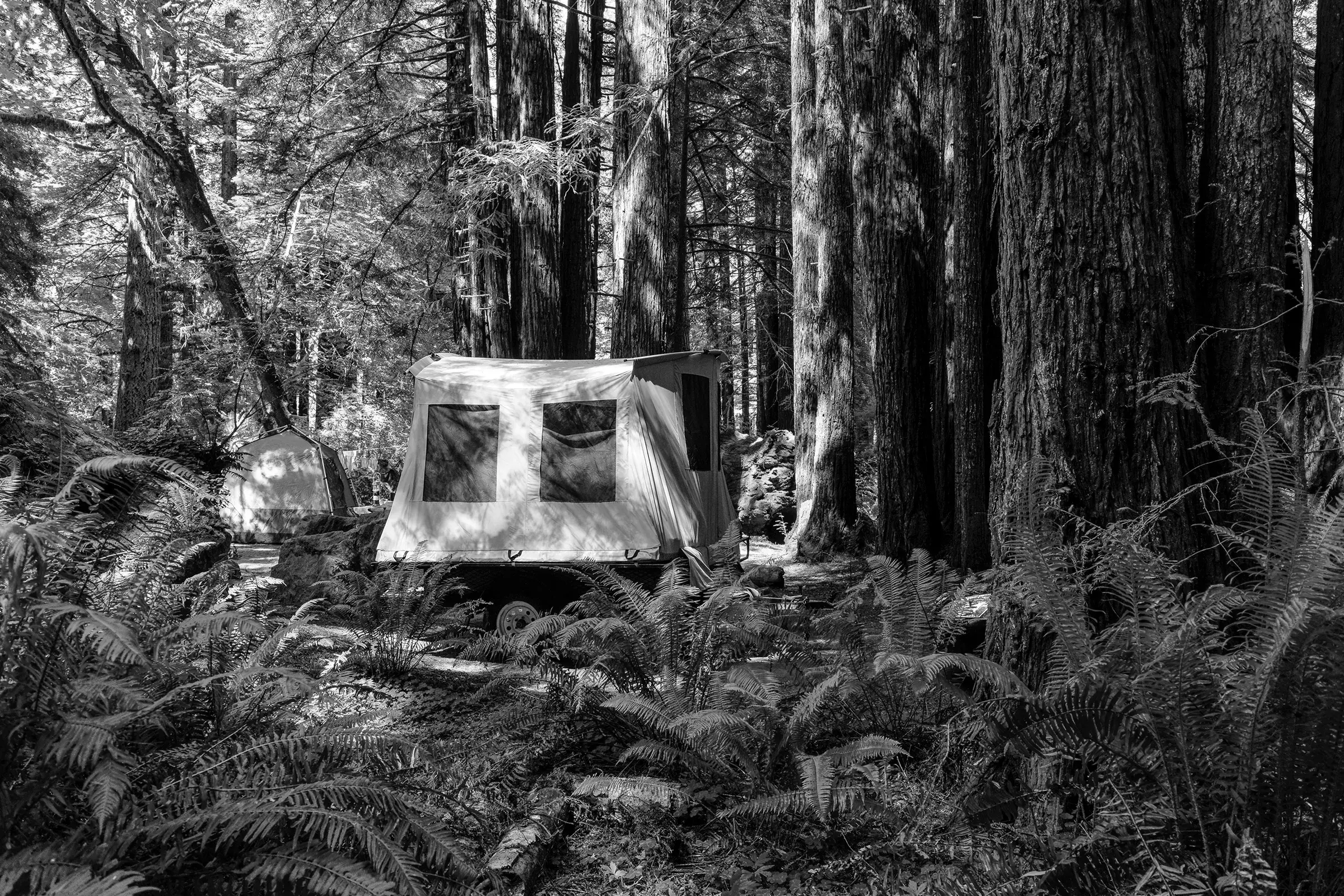 Best Forest Grove Campgrounds