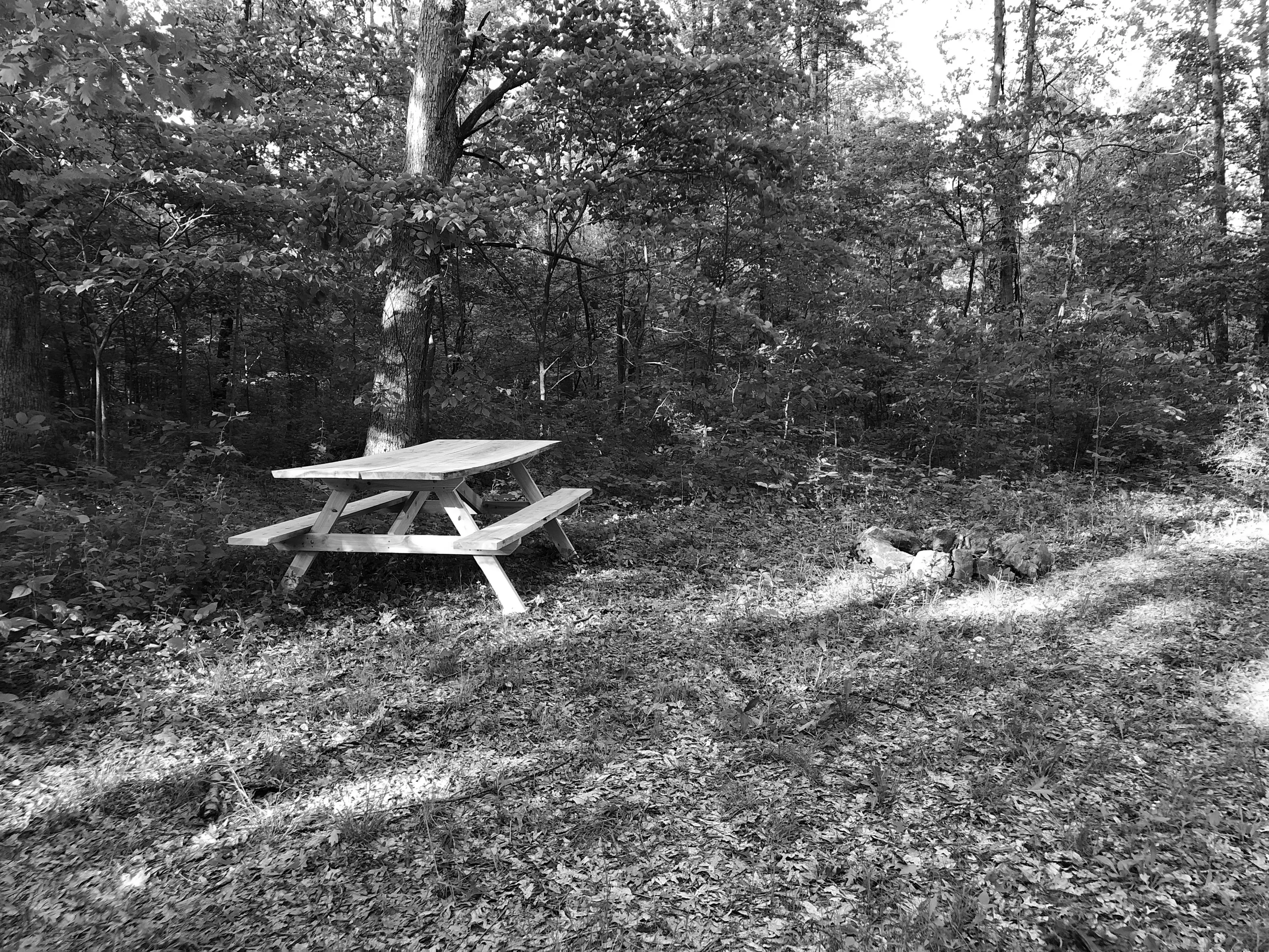 Best French Lick Campgrounds