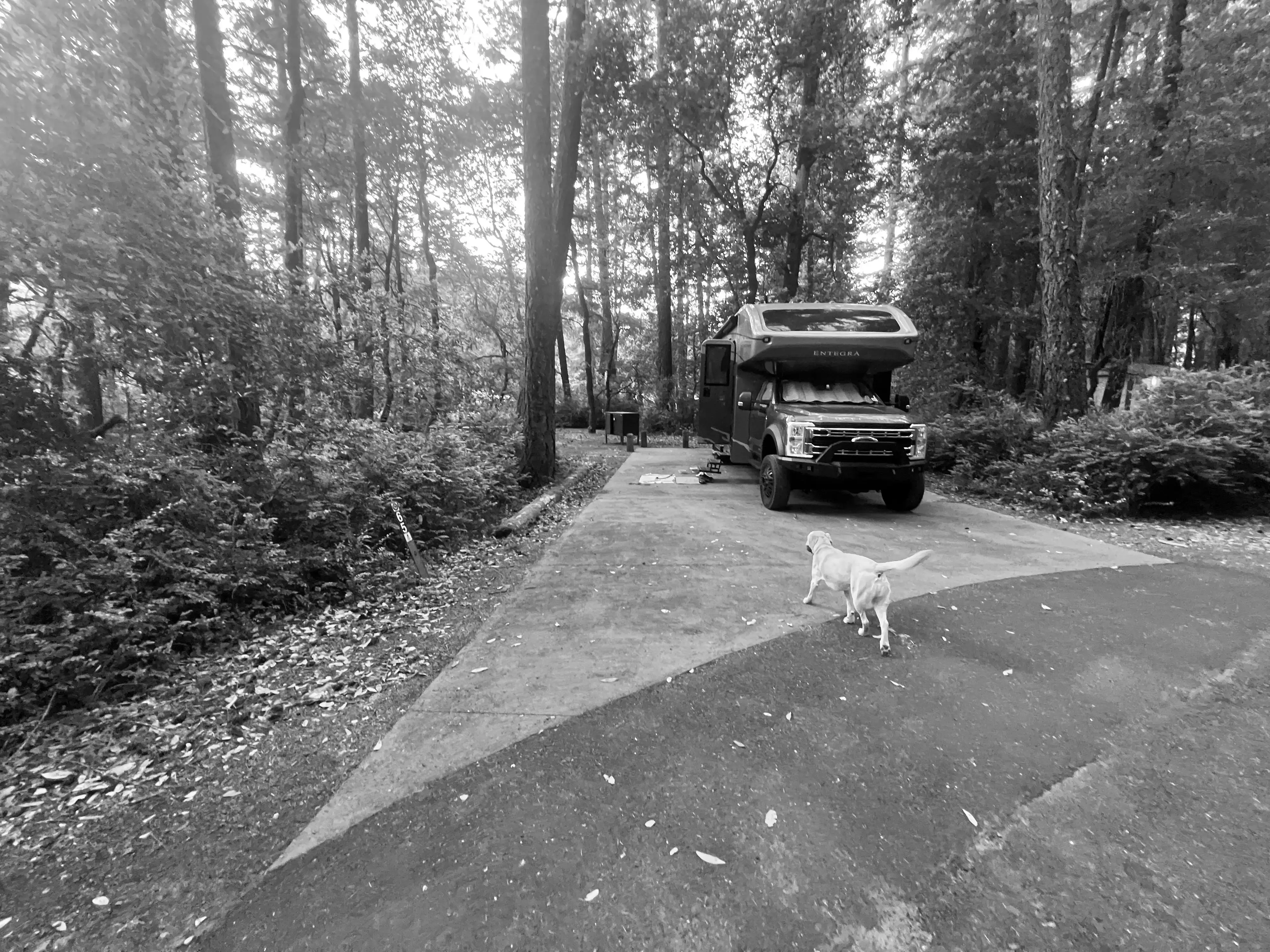 Best Garberville Campgrounds