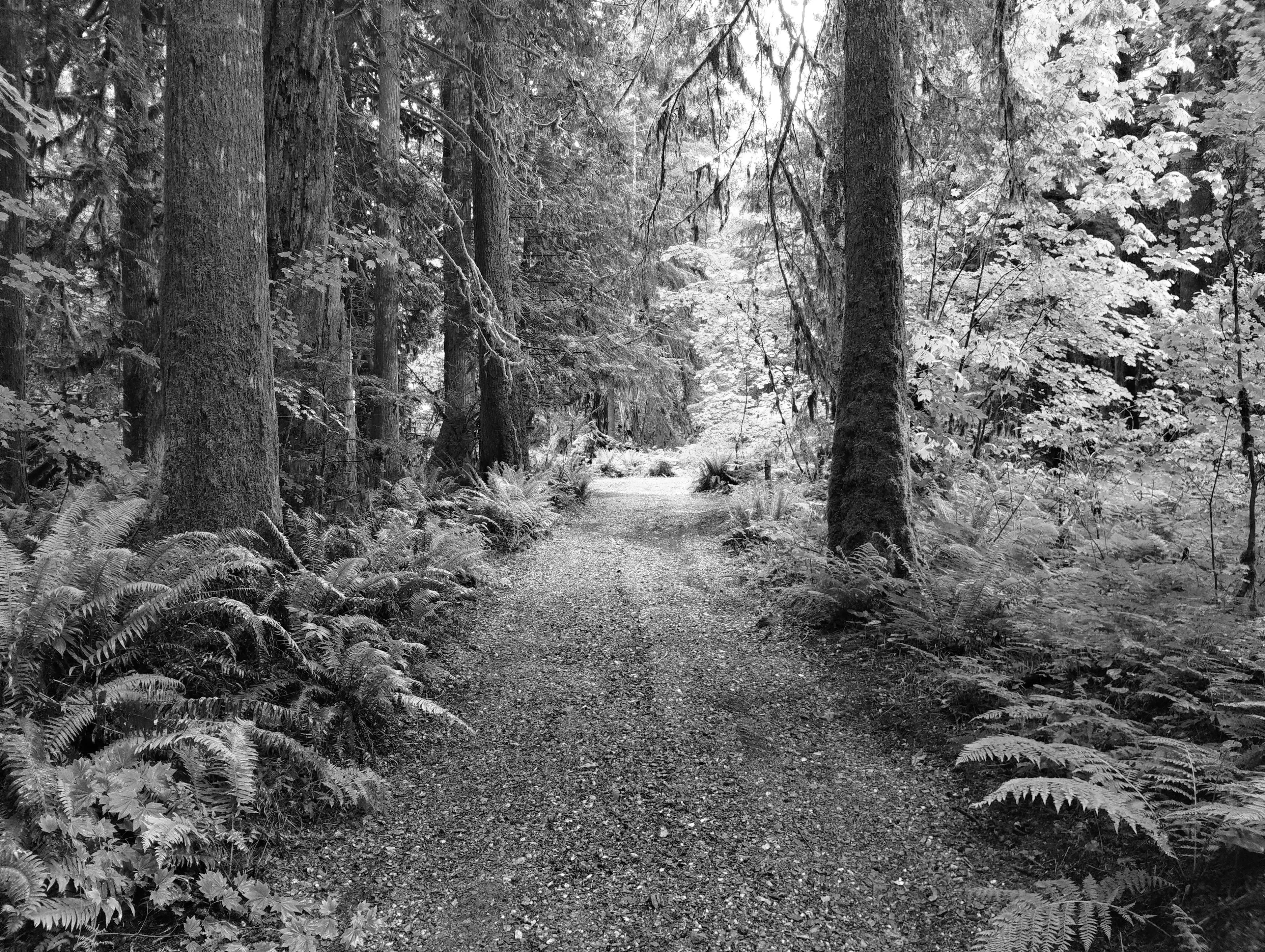 Best Granite Falls Campgrounds