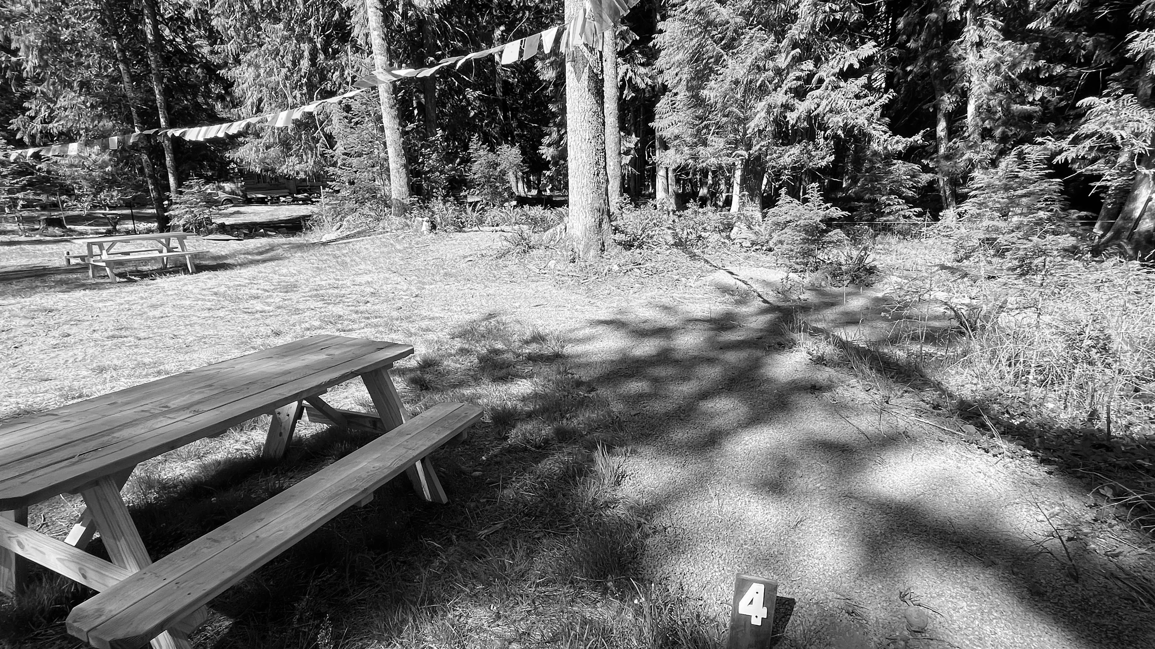 Best Greenwater Campgrounds