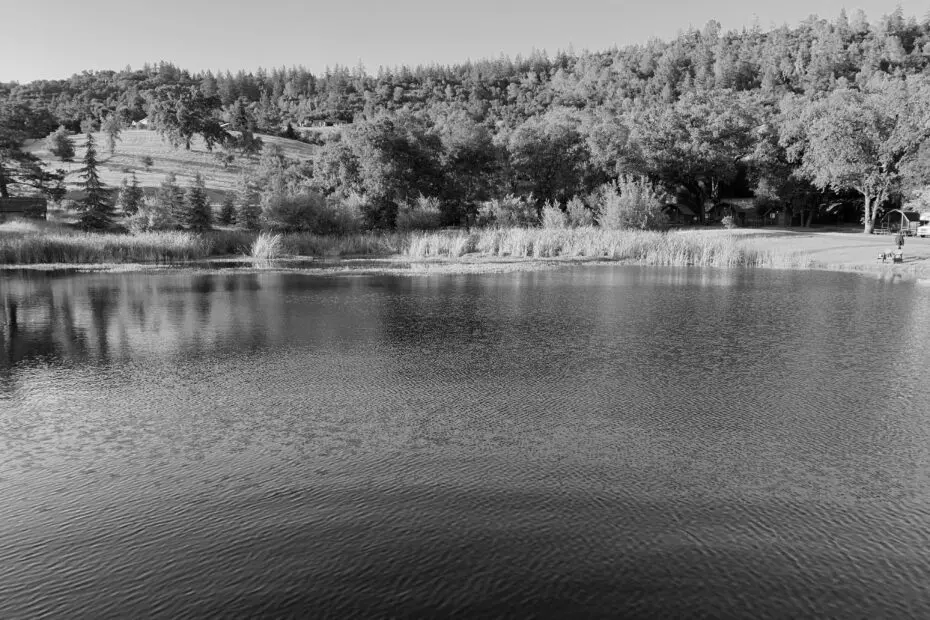 Best Healdsburg Campgrounds