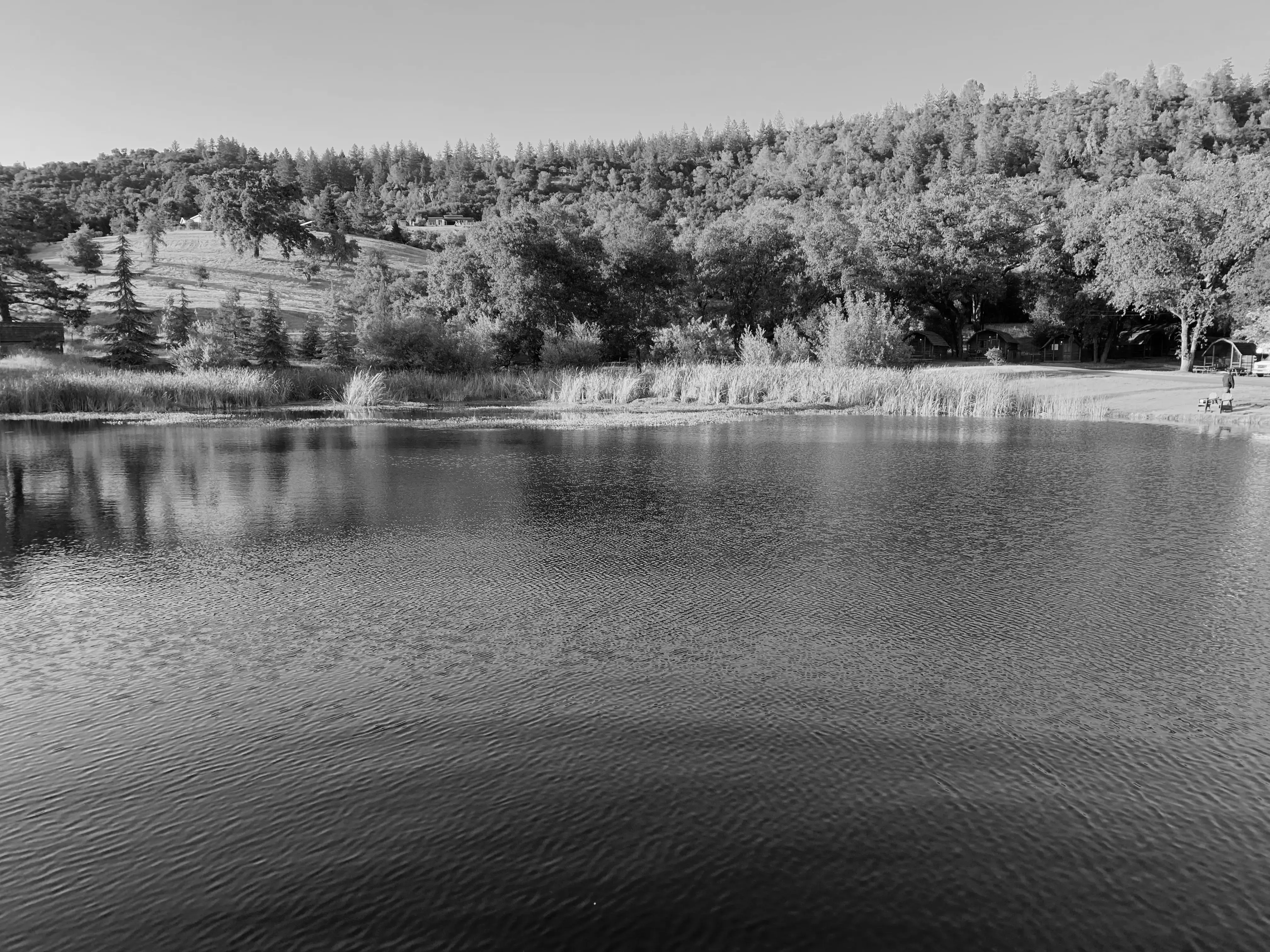 Best Healdsburg Campgrounds