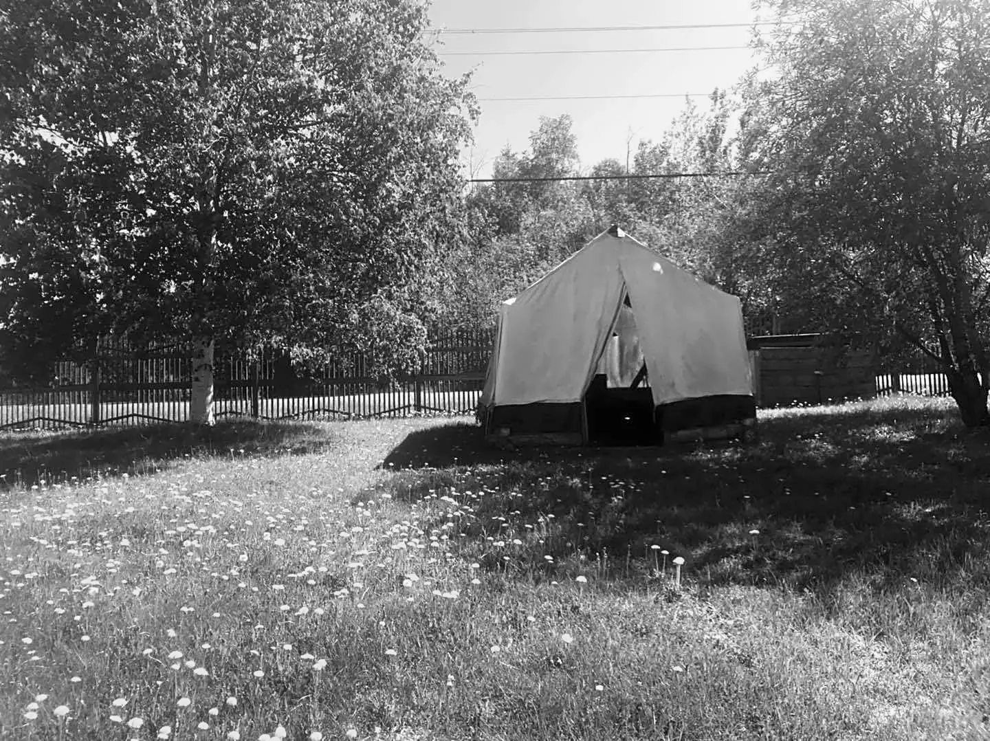 Best Healy Campgrounds