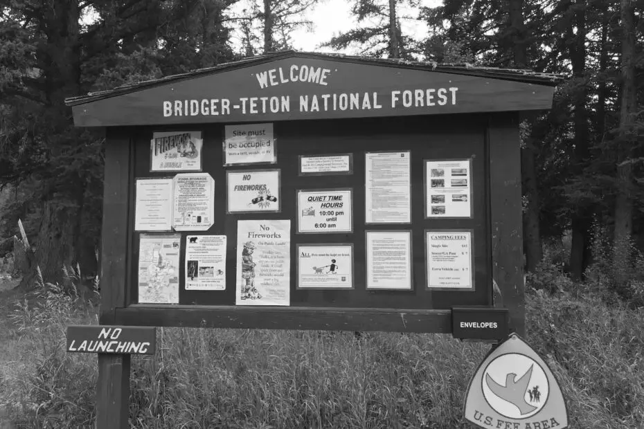 Best Hoback Campgrounds
