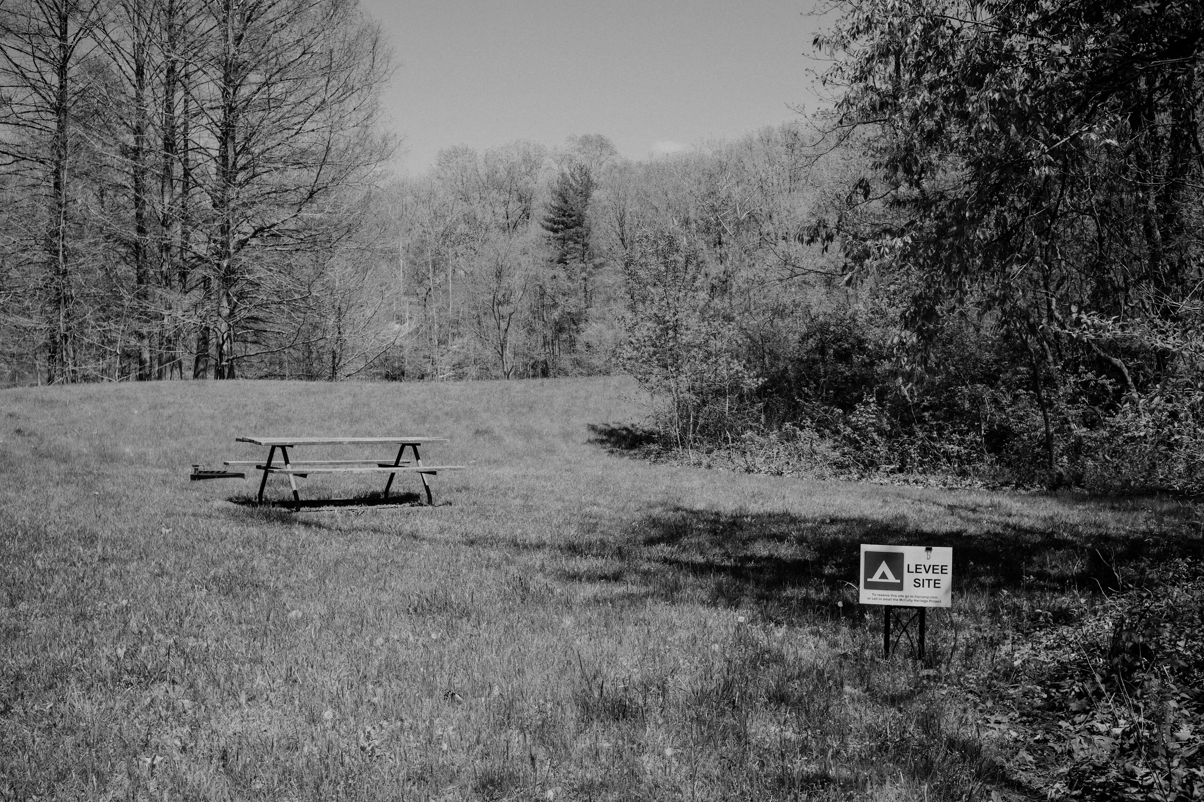 Best Horseshoe Lake Campgrounds