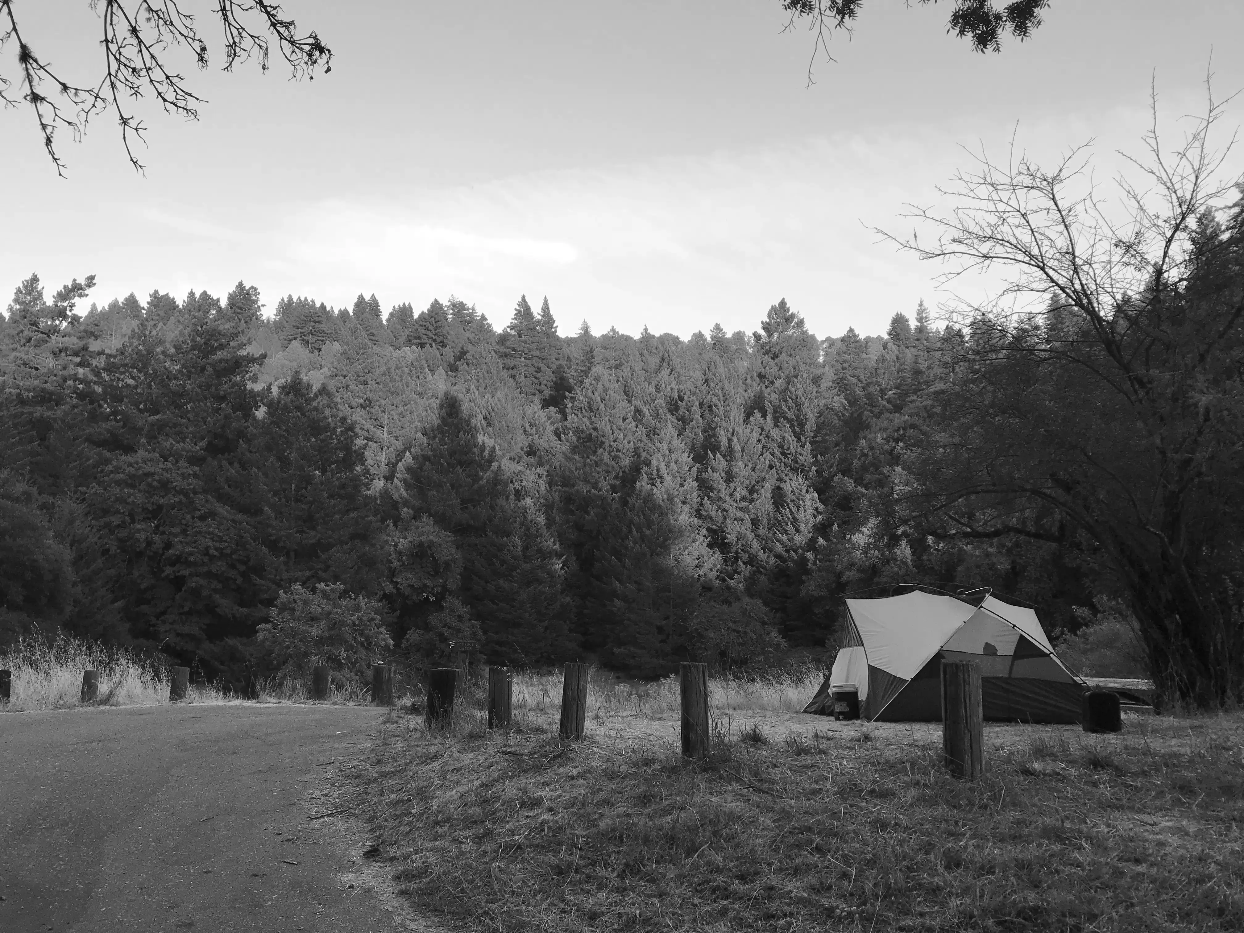 Best Jenner Campgrounds