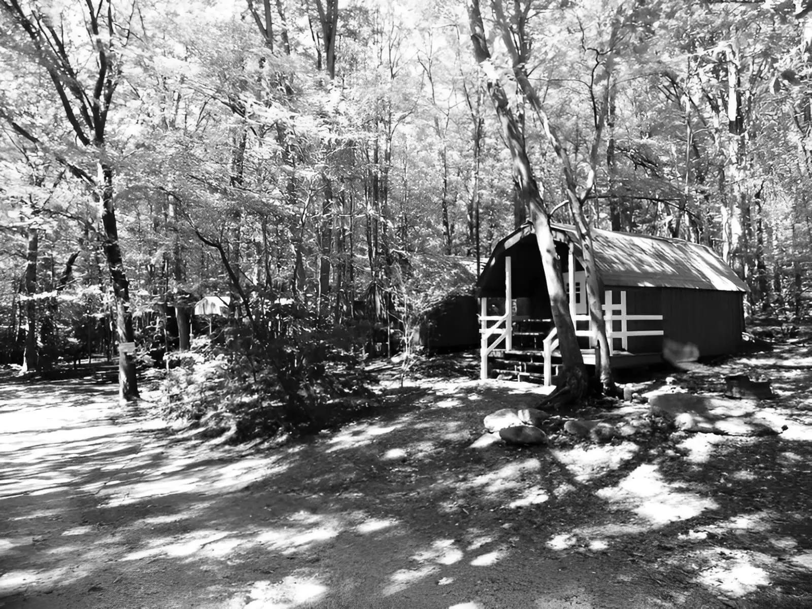 Best Jim Thorpe Campgrounds
