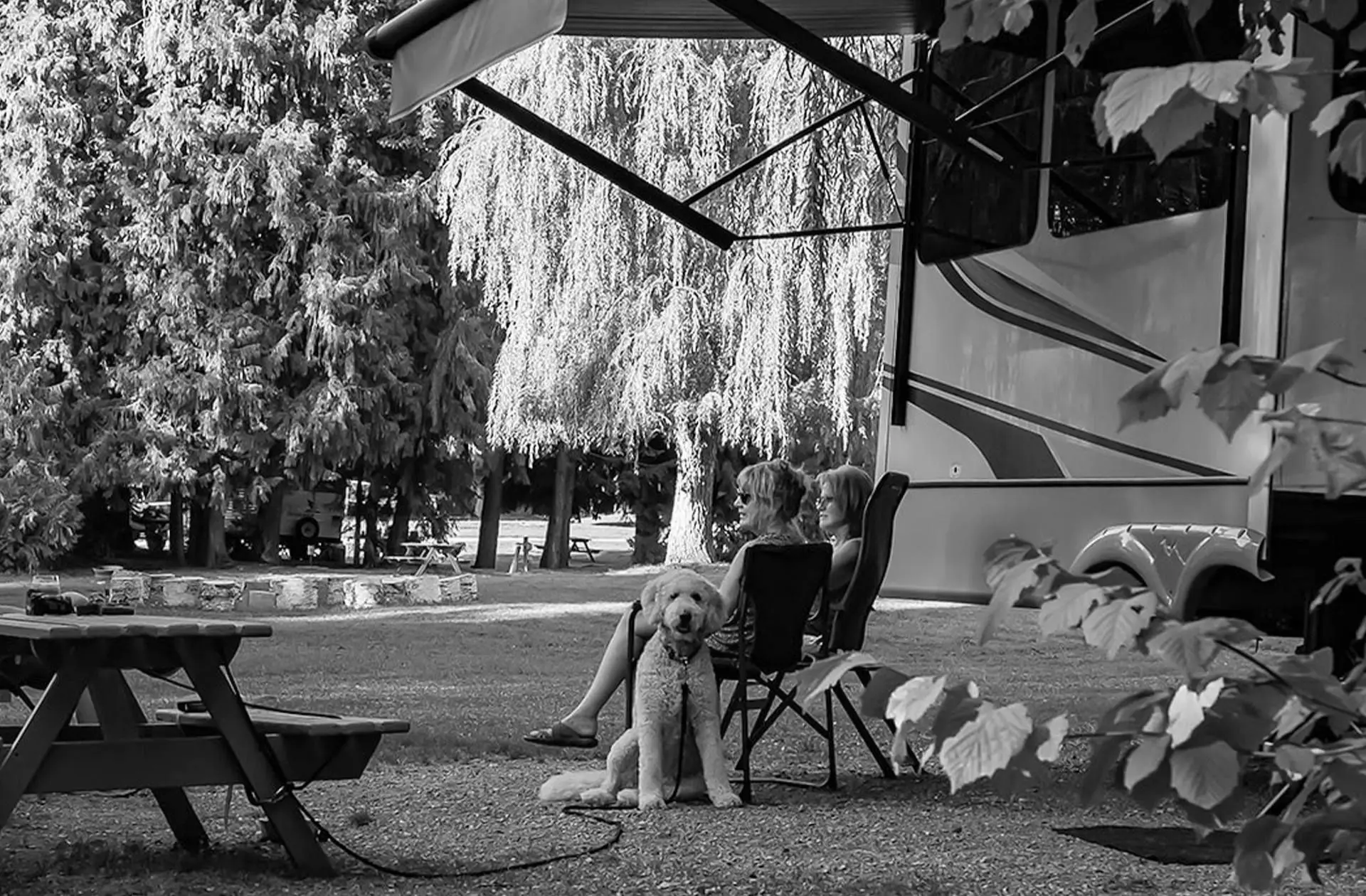 Best Kamloops Campgrounds