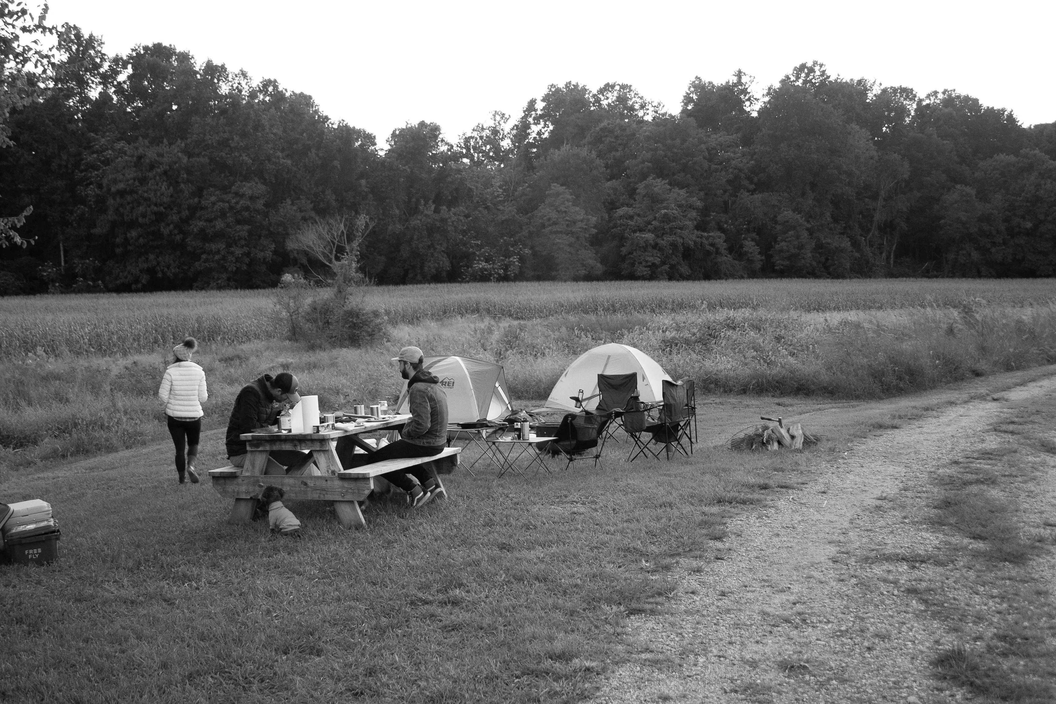 Best Kent Narrows Campgrounds
